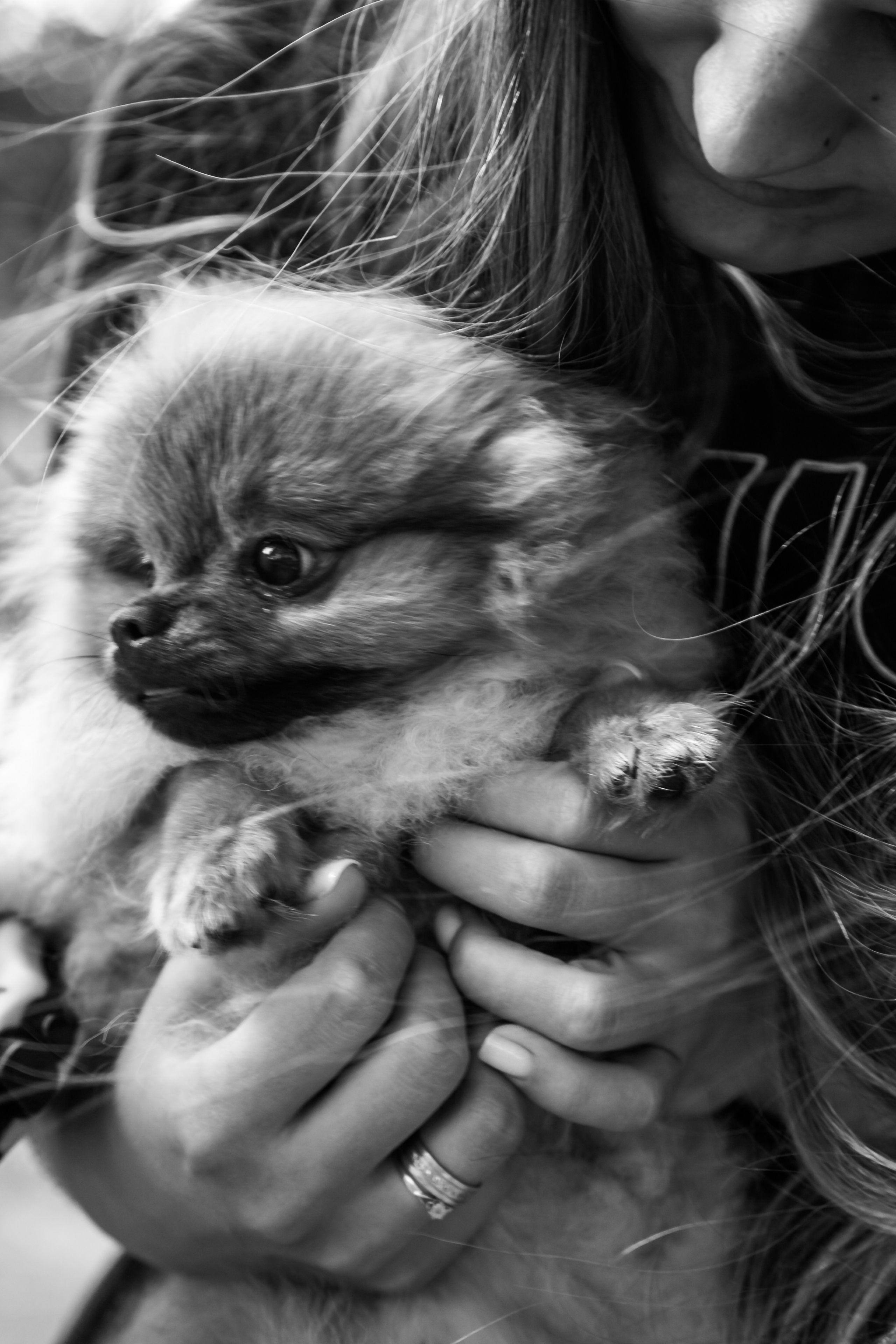 Диана, Юрий и Гуччи. Свадебный и семейный фотограф в Минске Духович Татьяна