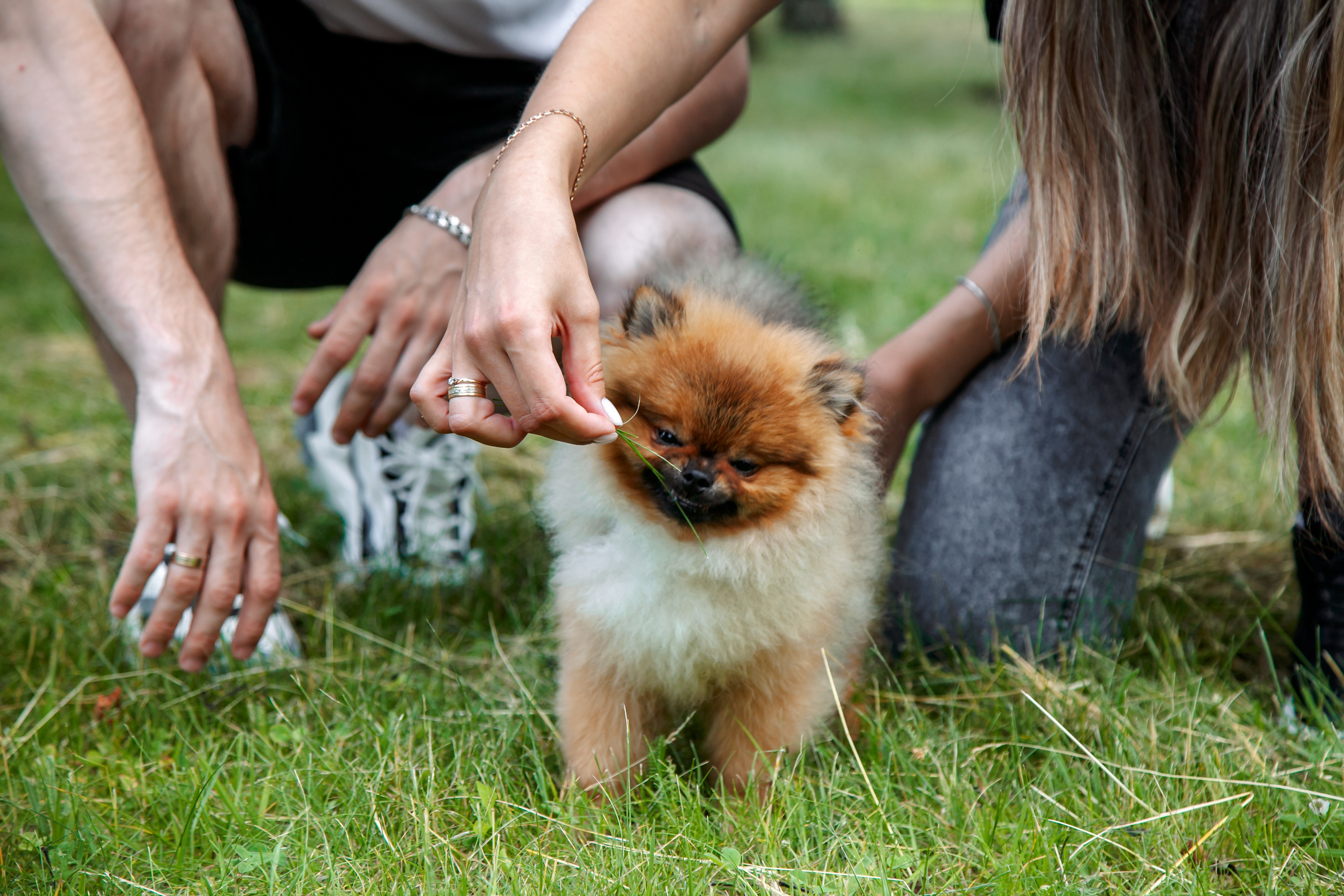 Диана, Юрий и Гуччи. Свадебный и семейный фотограф в Минске Духович Татьяна