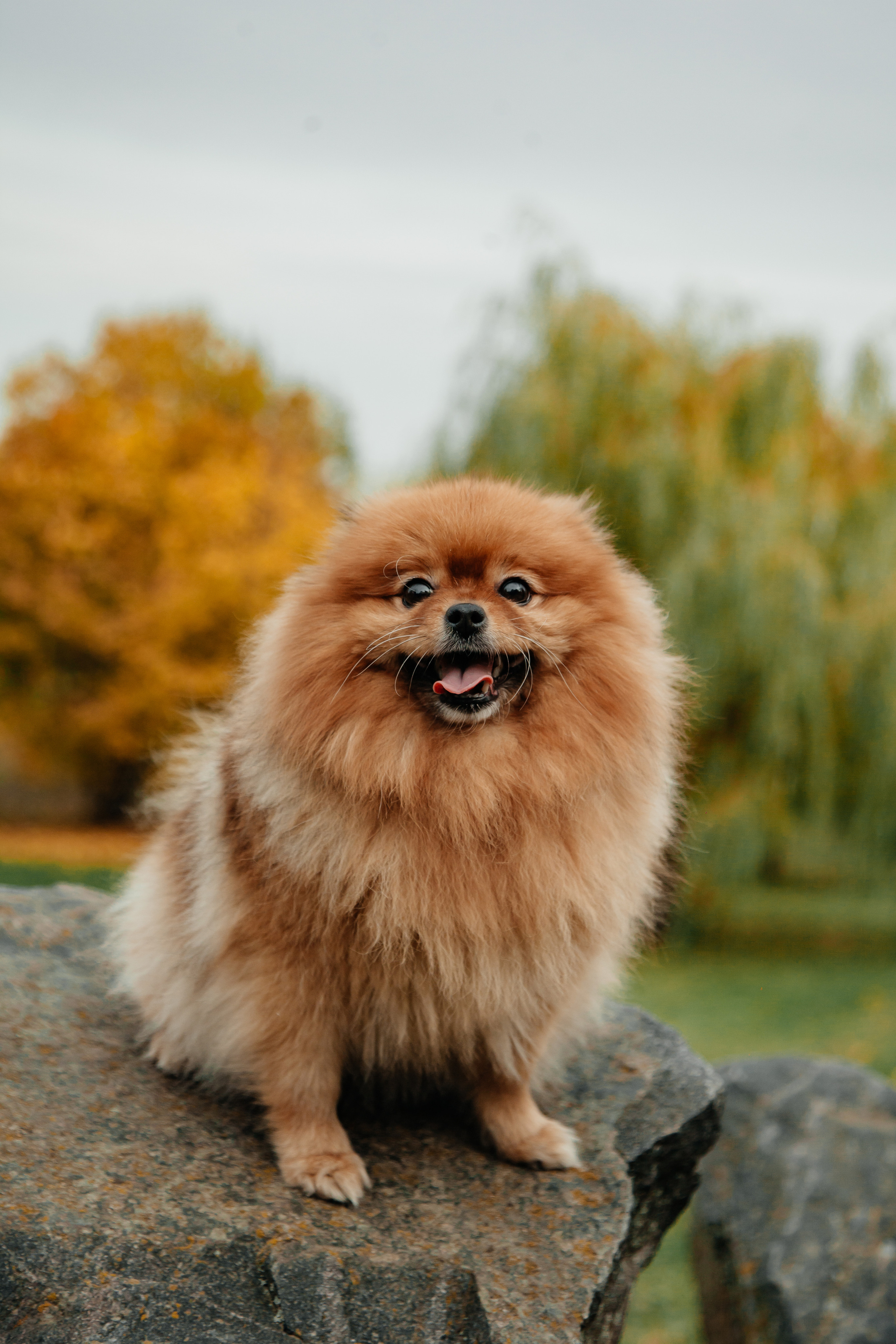 Татьяна, Игорь, Владислав, Никита. Свадебный и семейный фотограф в Минске Духович Татьяна