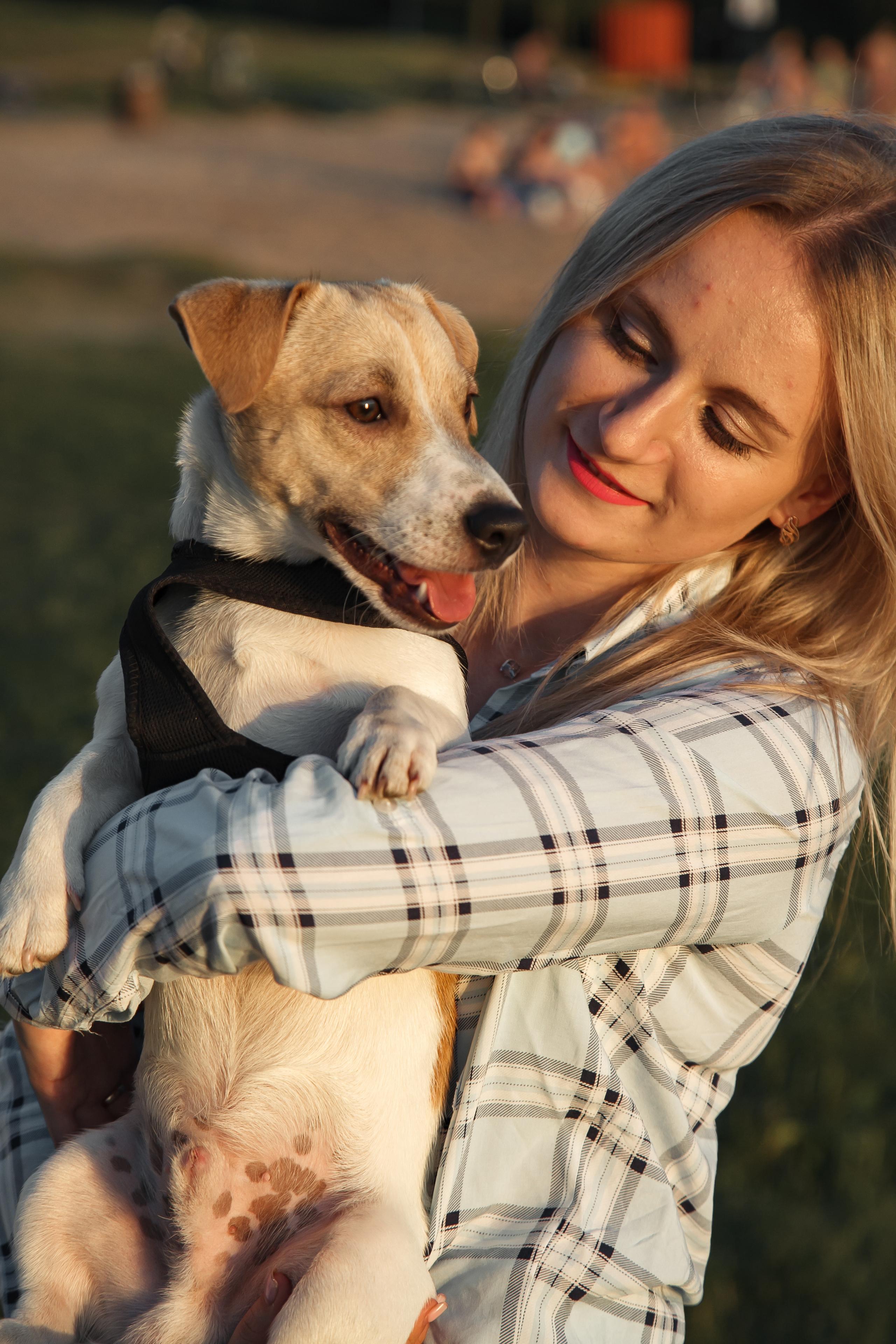 Юля, Артем, Андрей, Джек. Свадебный и семейный фотограф в Минске Духович Татьяна