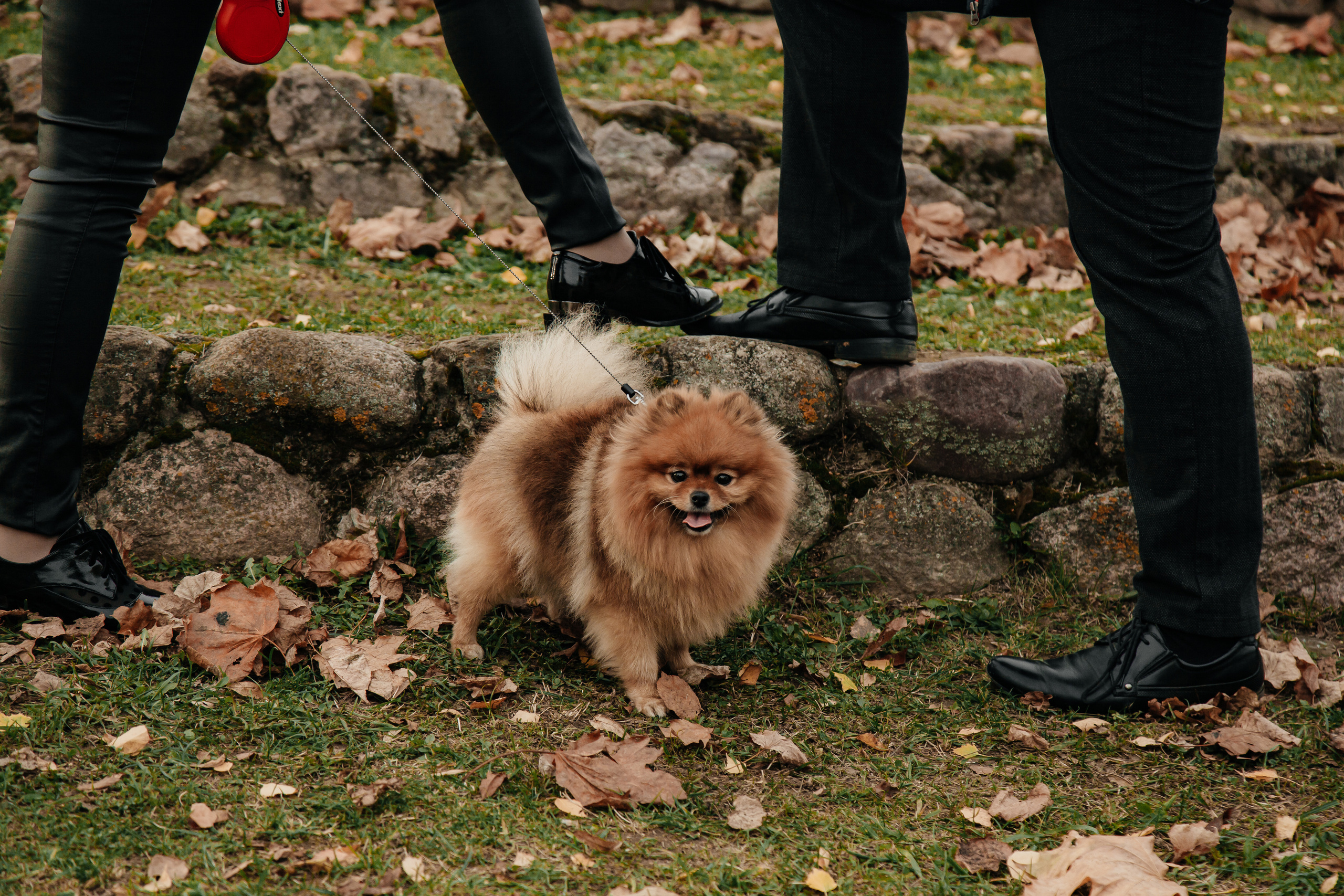 Татьяна, Игорь, Владислав, Никита. Свадебный и семейный фотограф в Минске Духович Татьяна