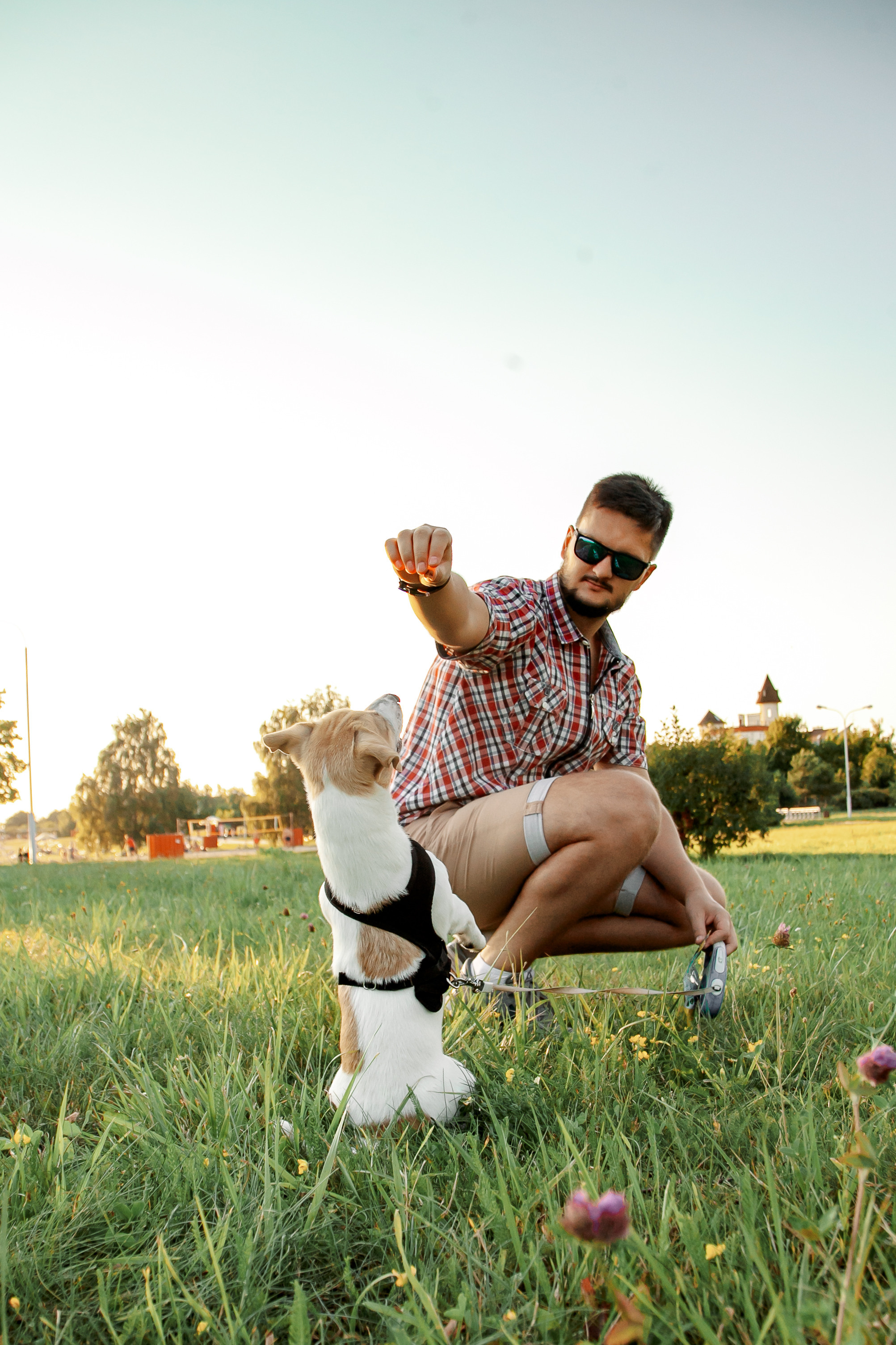 Юля, Артем, Андрей, Джек. Свадебный и семейный фотограф в Минске Духович Татьяна