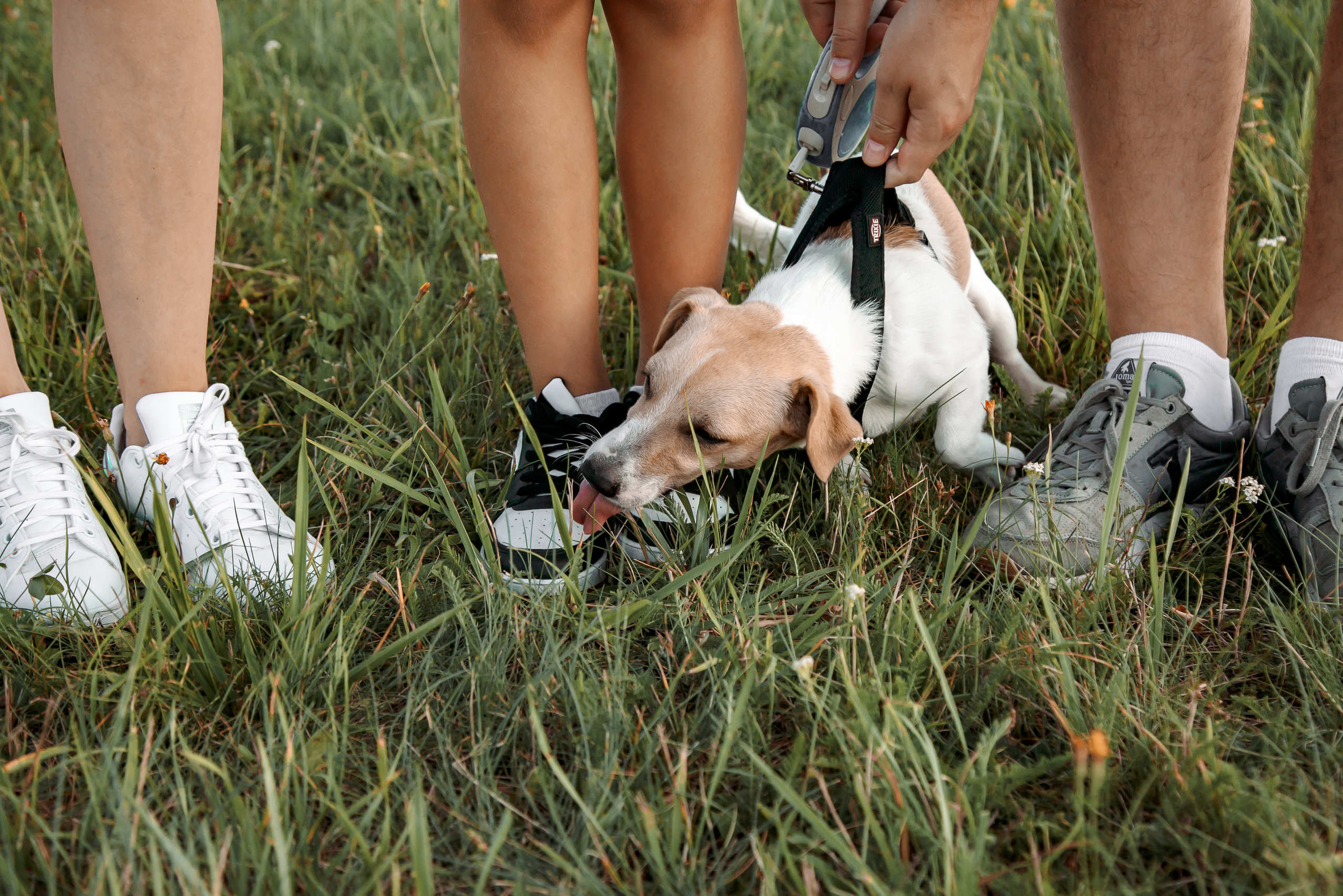 Юля, Артем, Андрей, Джек. Свадебный и семейный фотограф в Минске Духович Татьяна