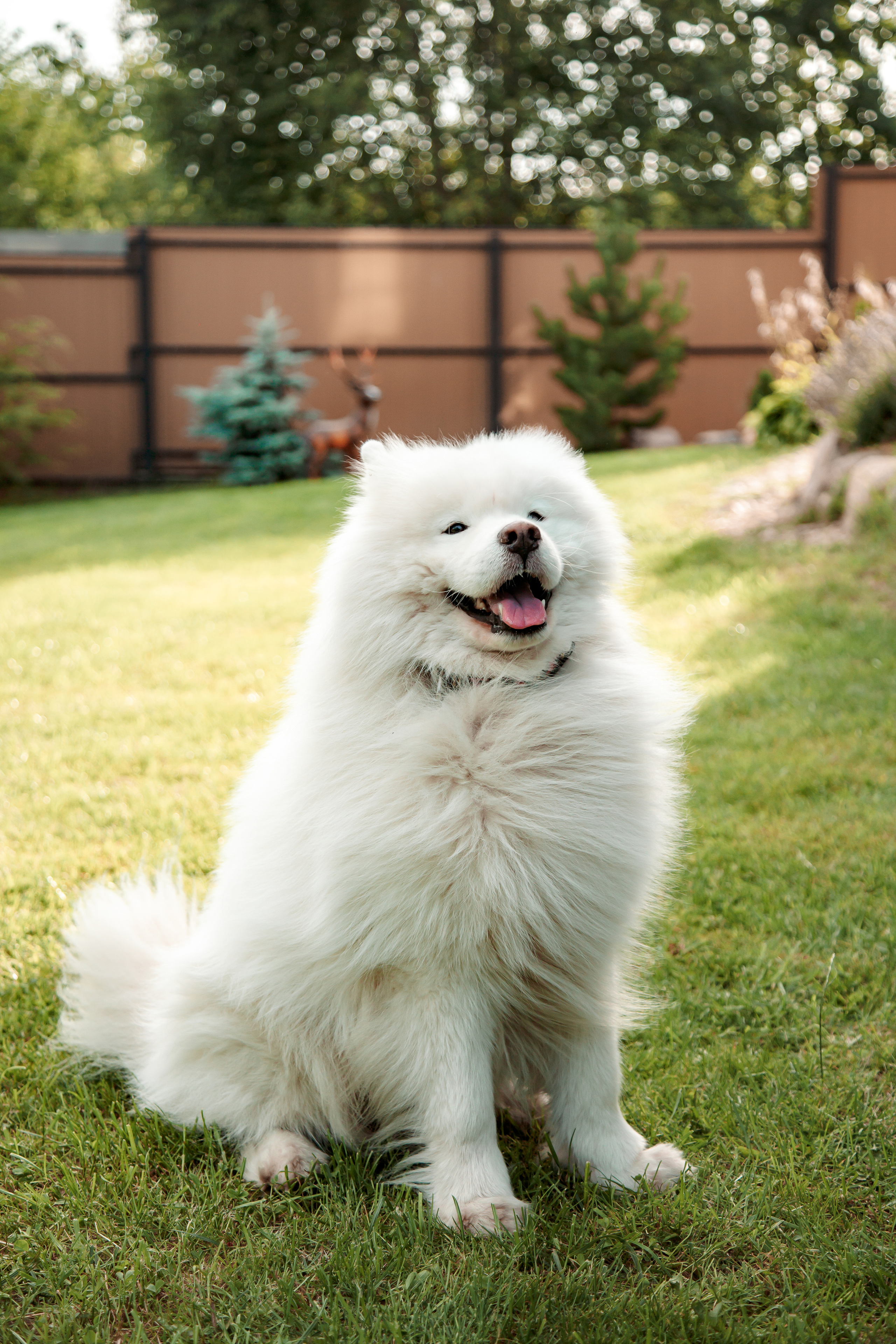 Екатерина и Сергей. Свадебный и семейный фотограф в Минске Духович Татьяна