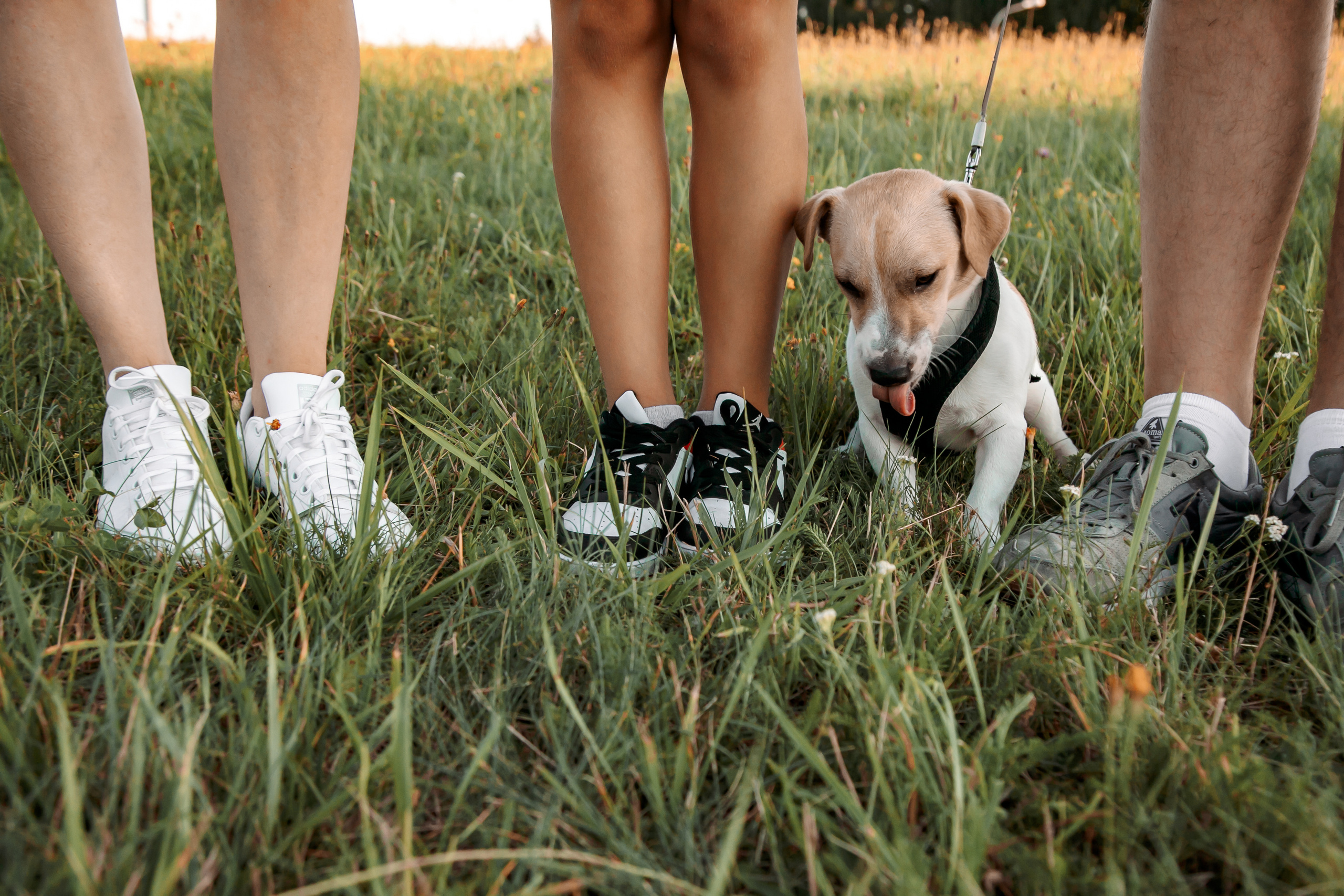 Юля, Артем, Андрей, Джек. Свадебный и семейный фотограф в Минске Духович Татьяна
