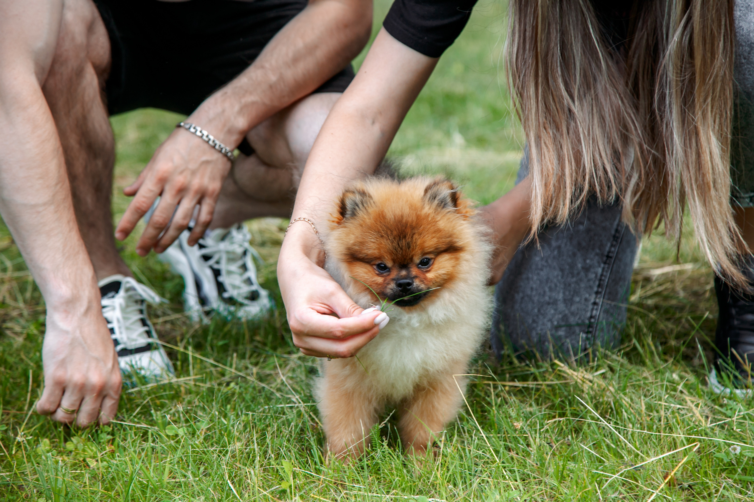 Диана, Юрий и Гуччи. Свадебный и семейный фотограф в Минске Духович Татьяна
