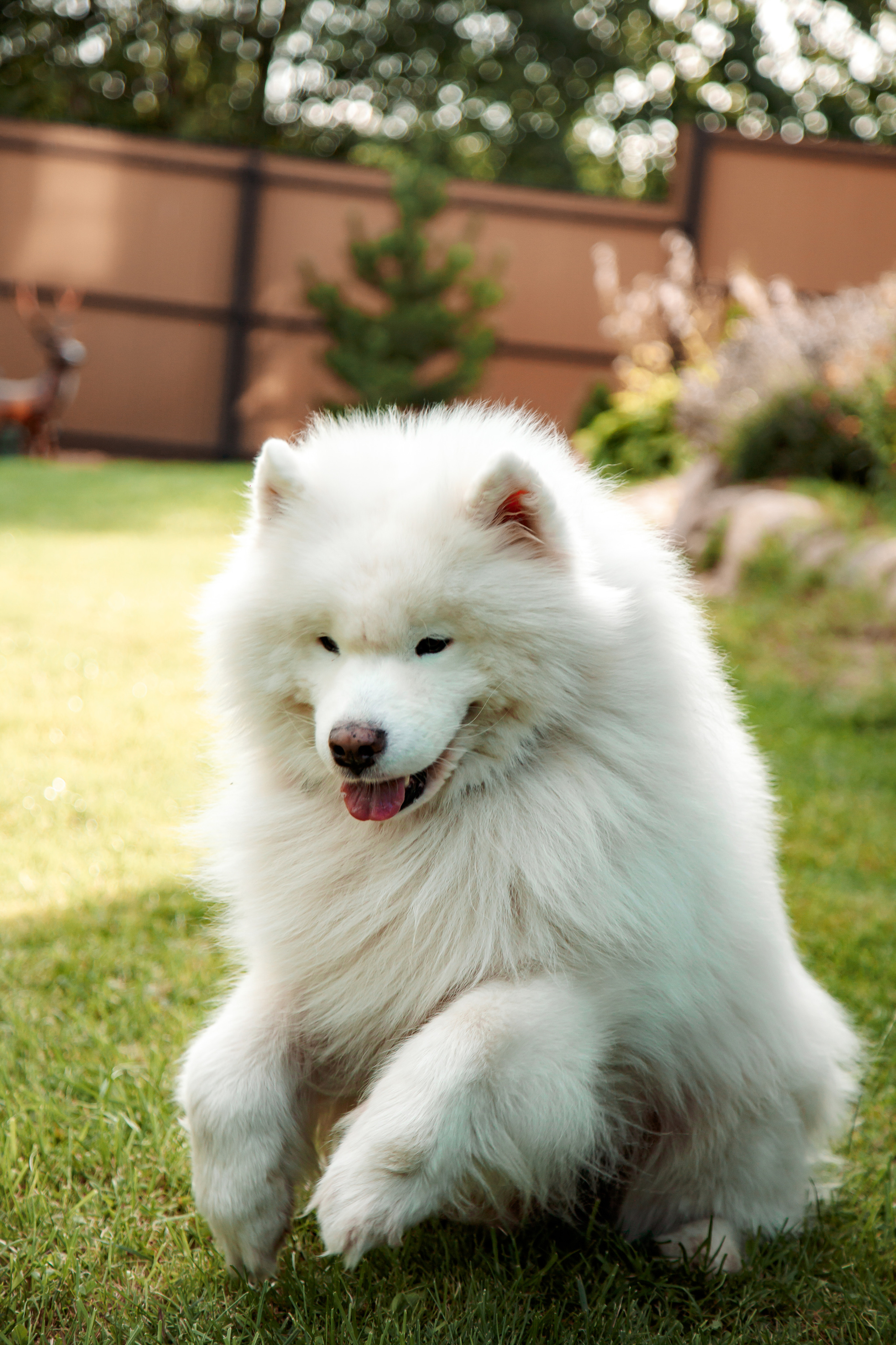 Екатерина и Сергей. Свадебный и семейный фотограф в Минске Духович Татьяна