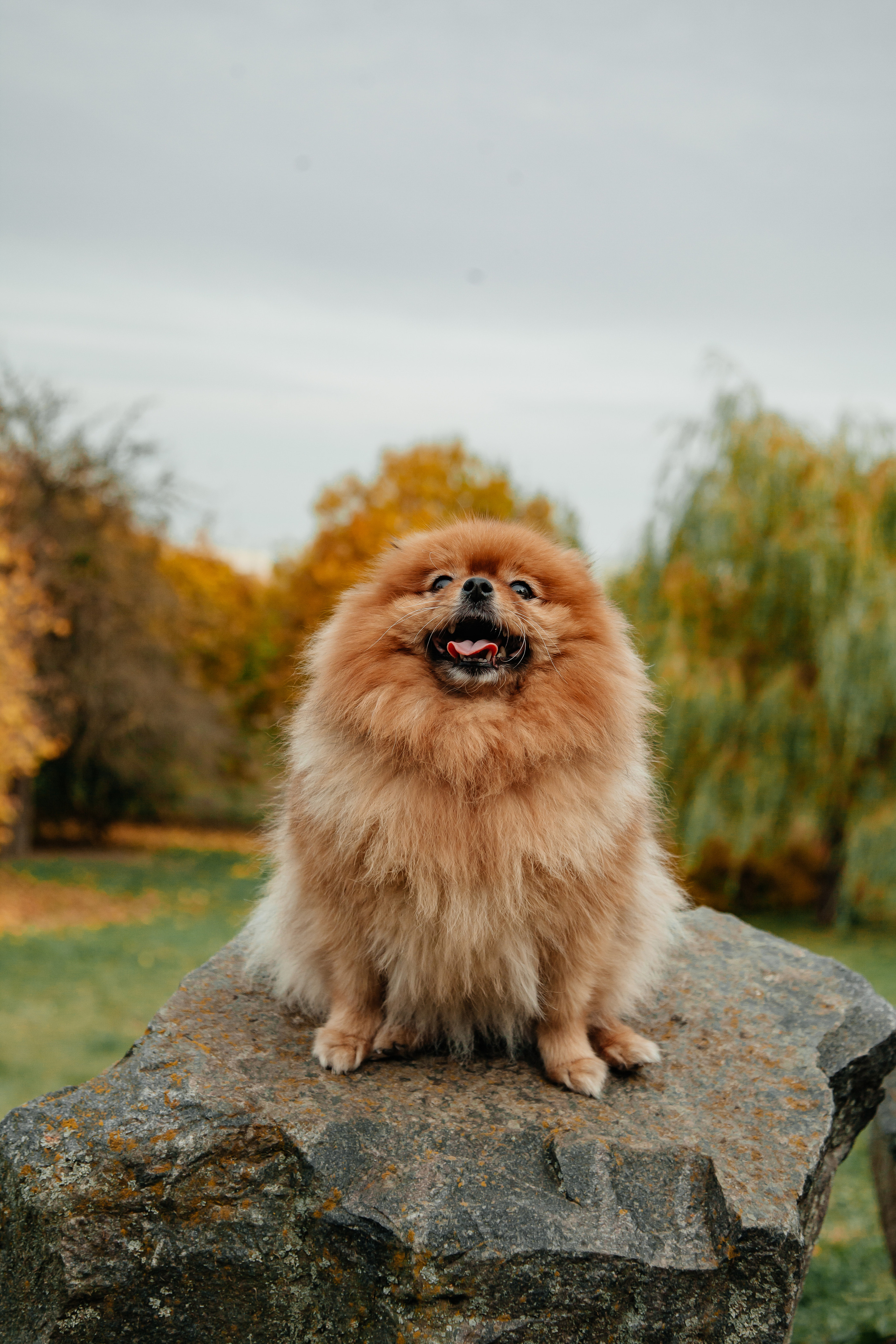 Татьяна, Игорь, Владислав, Никита. Свадебный и семейный фотограф в Минске Духович Татьяна