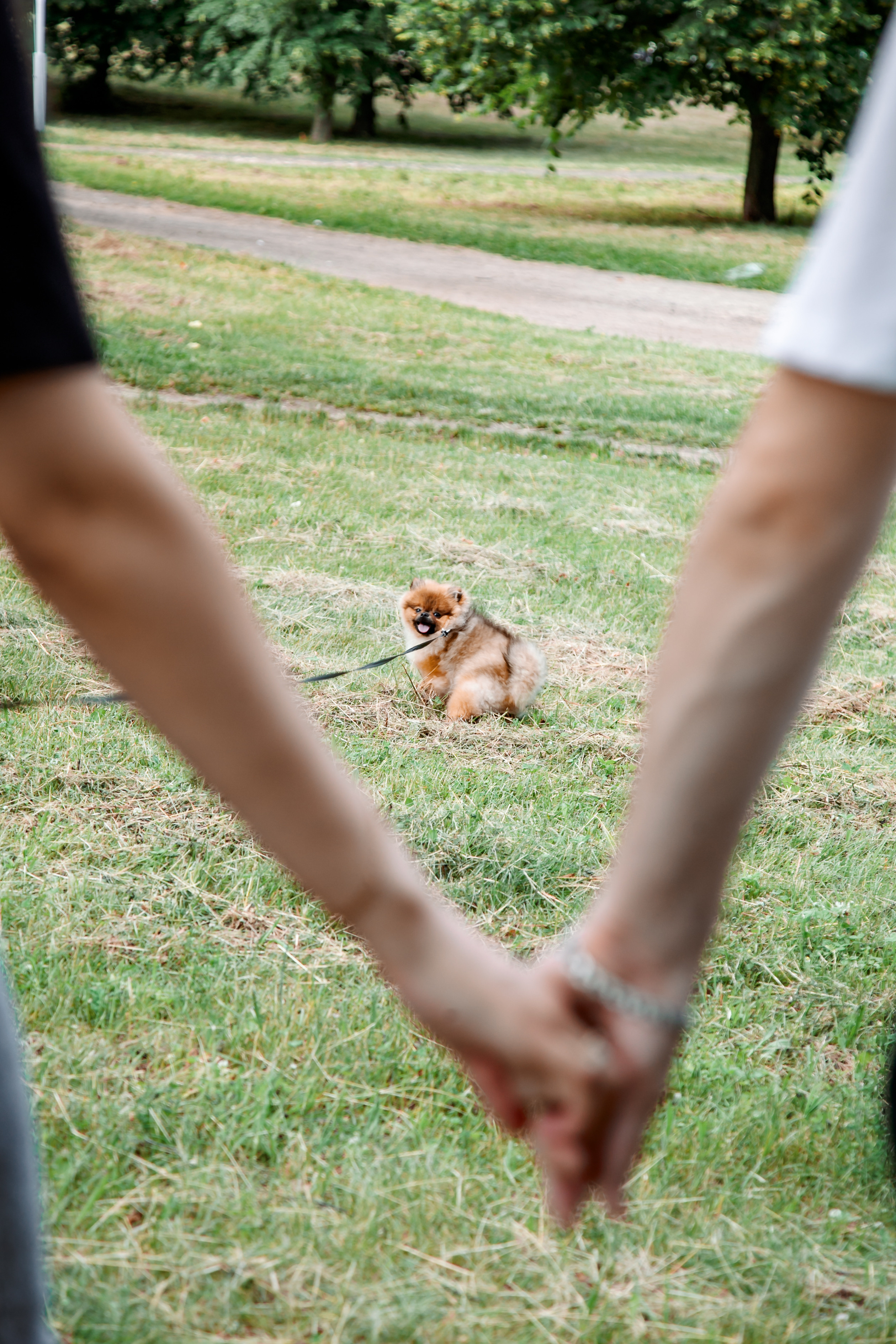 Диана, Юрий и Гуччи. Свадебный и семейный фотограф в Минске Духович Татьяна