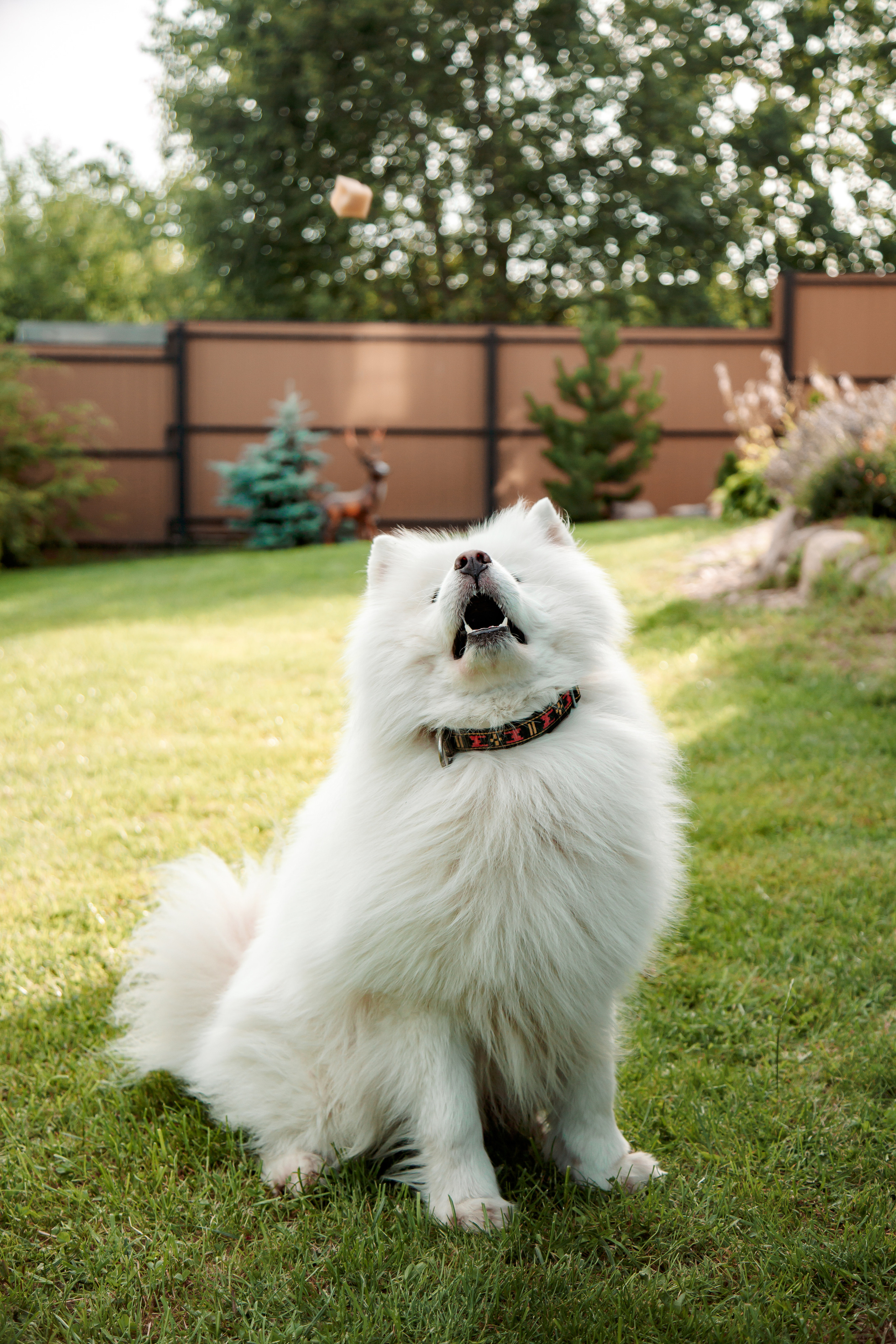 Екатерина и Сергей. Свадебный и семейный фотограф в Минске Духович Татьяна