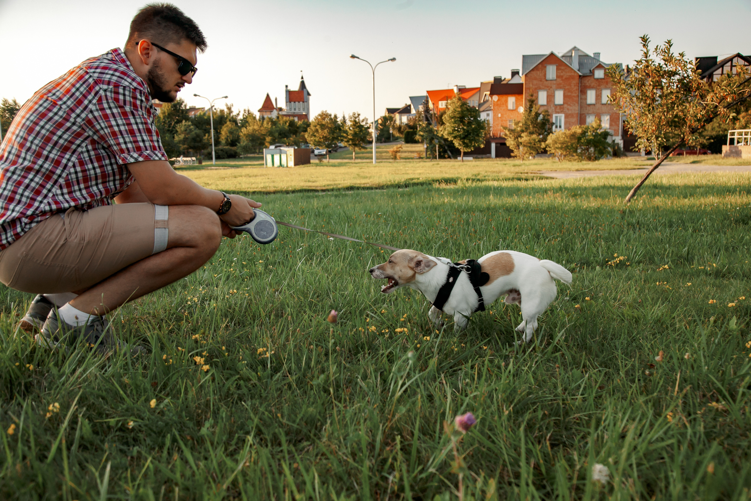Юля, Артем, Андрей, Джек. Свадебный и семейный фотограф в Минске Духович Татьяна