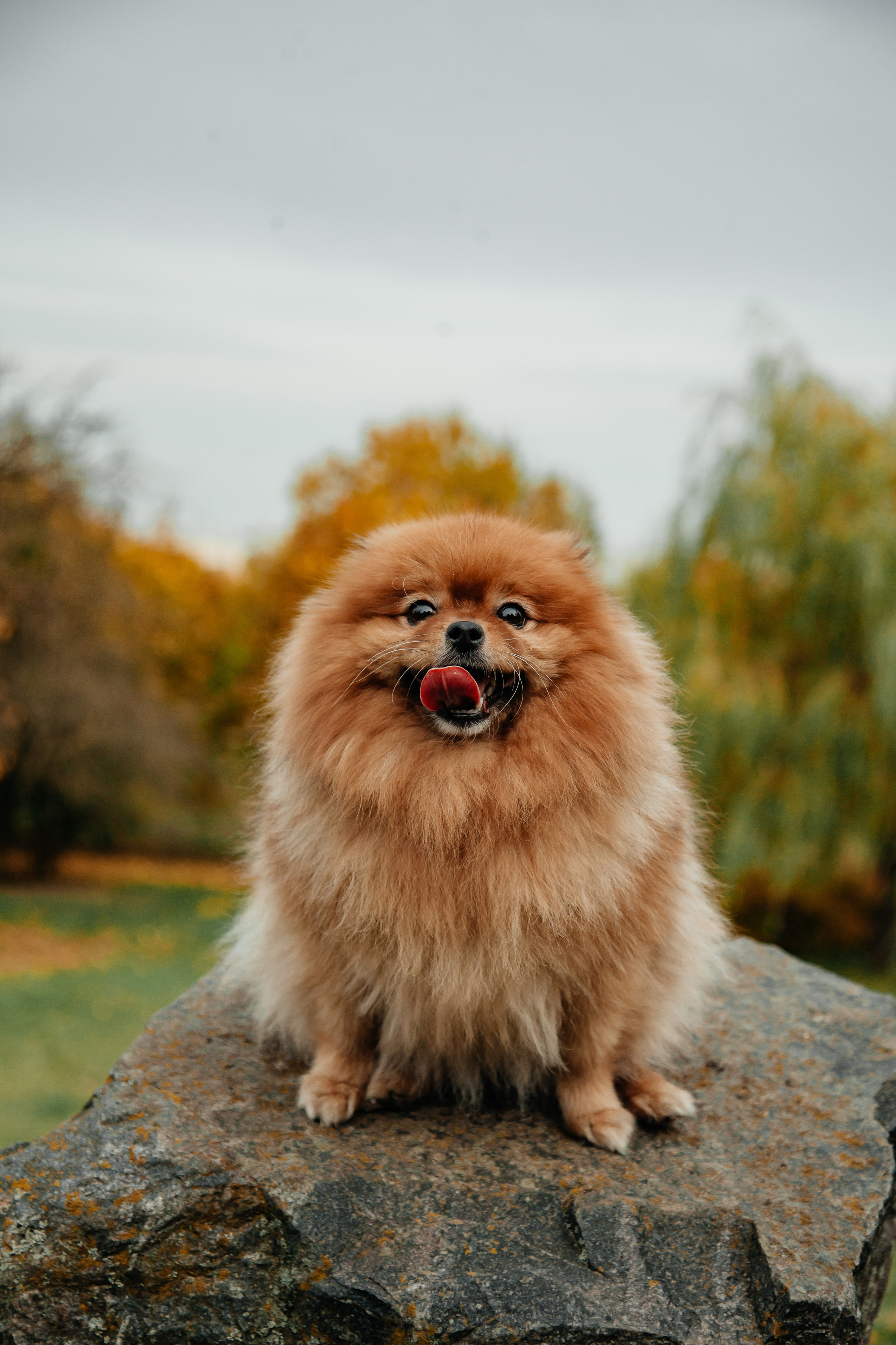 Татьяна, Игорь, Владислав, Никита. Свадебный и семейный фотограф в Минске Духович Татьяна