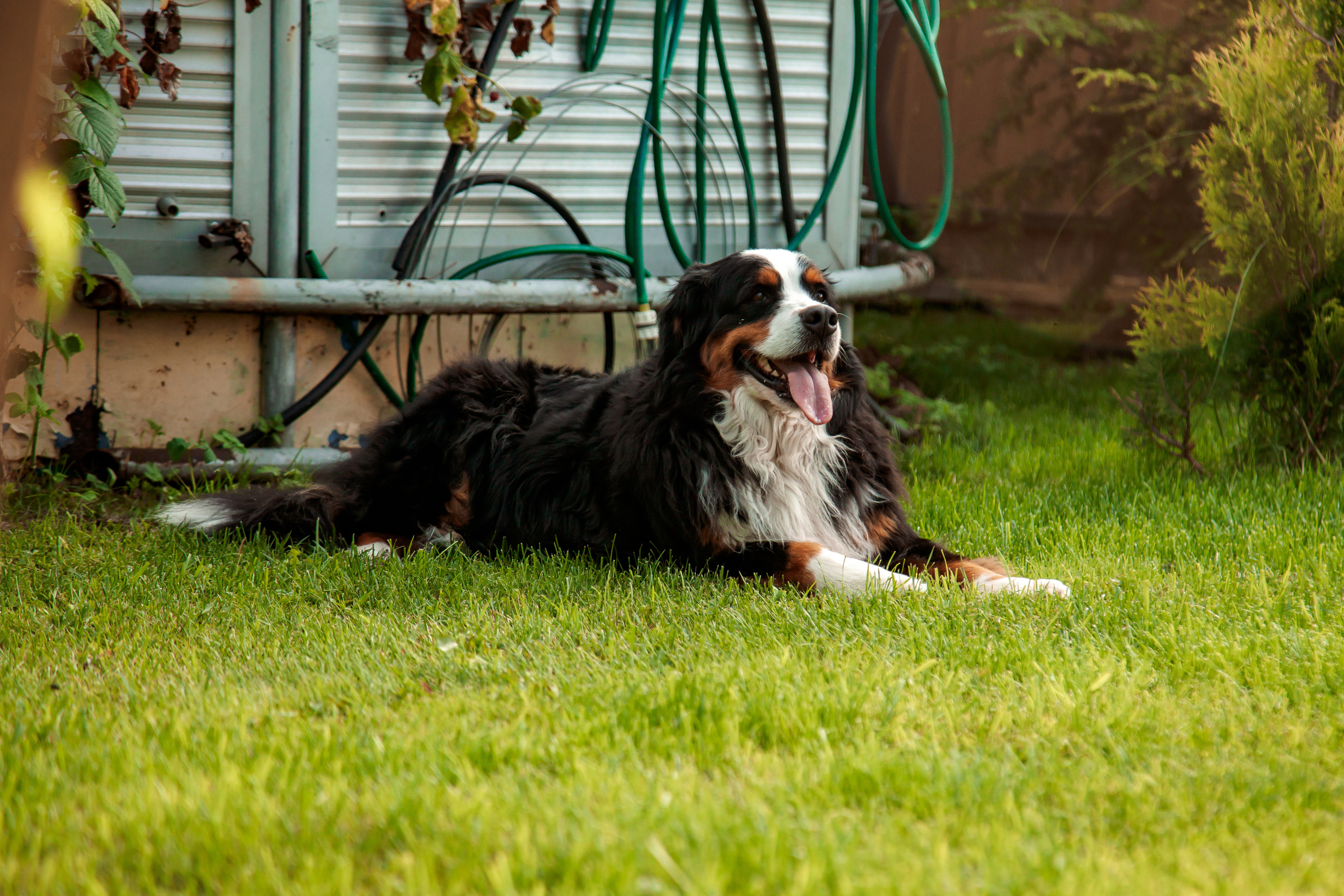 Екатерина и Сергей. Свадебный и семейный фотограф в Минске Духович Татьяна