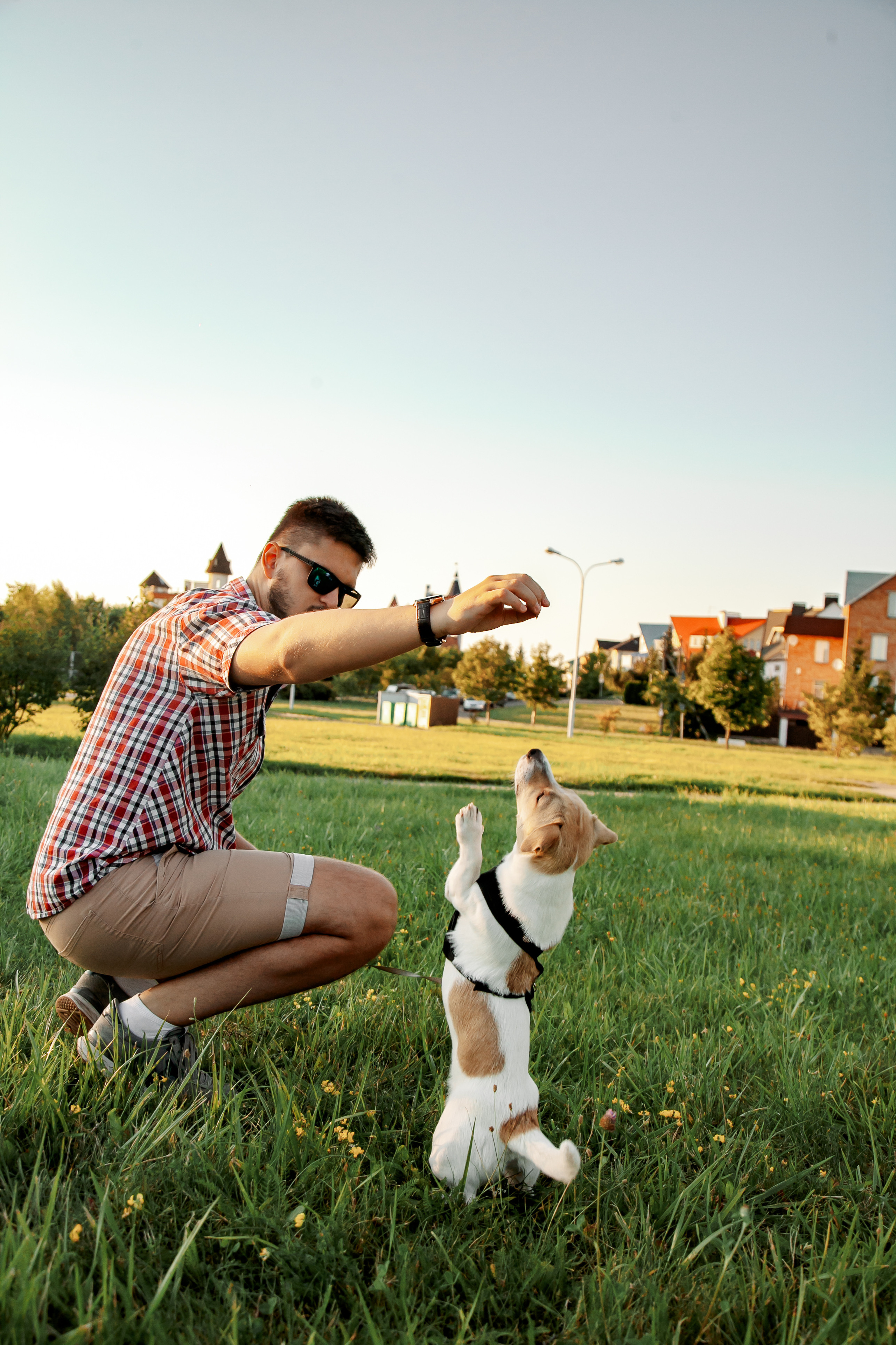 Юля, Артем, Андрей, Джек. Свадебный и семейный фотограф в Минске Духович Татьяна