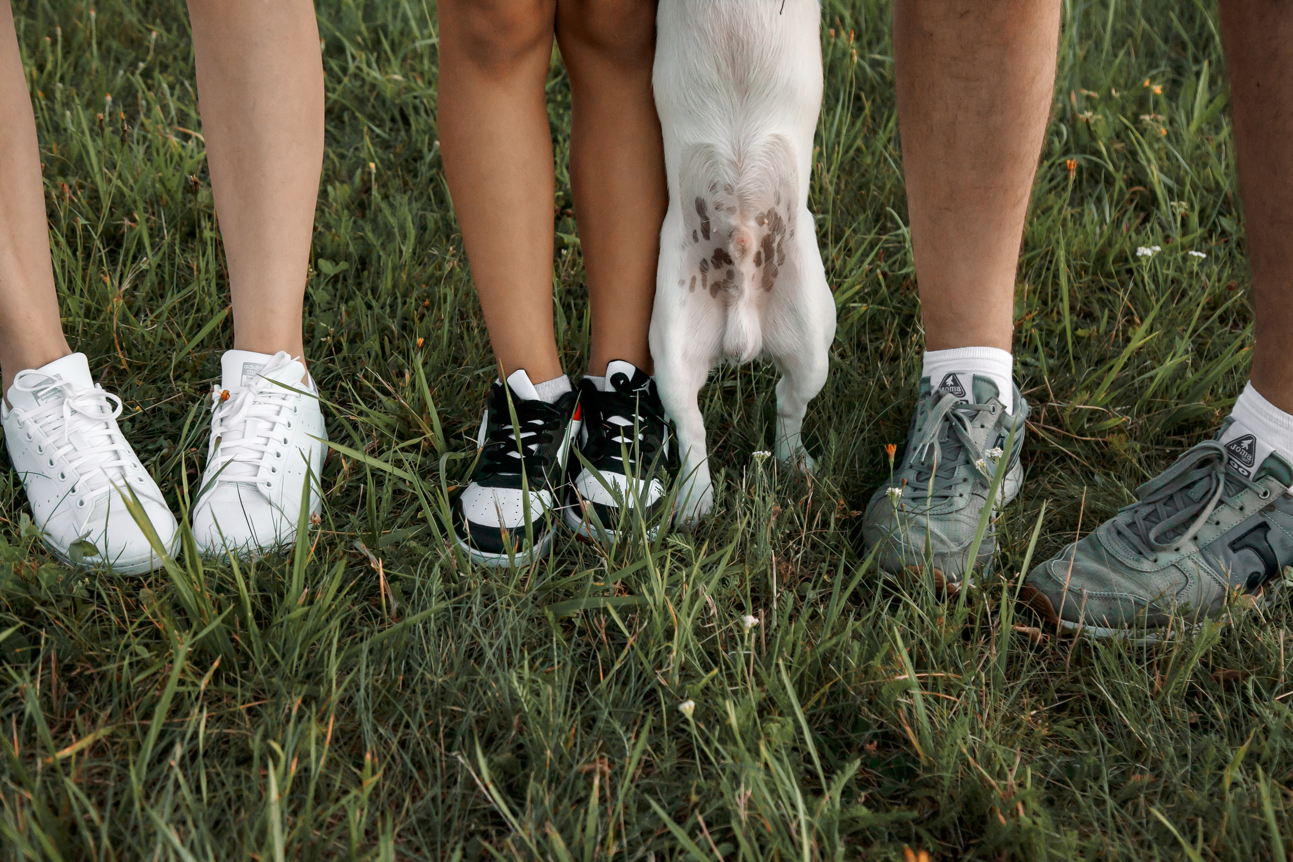 Юля, Артем, Андрей, Джек. Свадебный и семейный фотограф в Минске Духович Татьяна