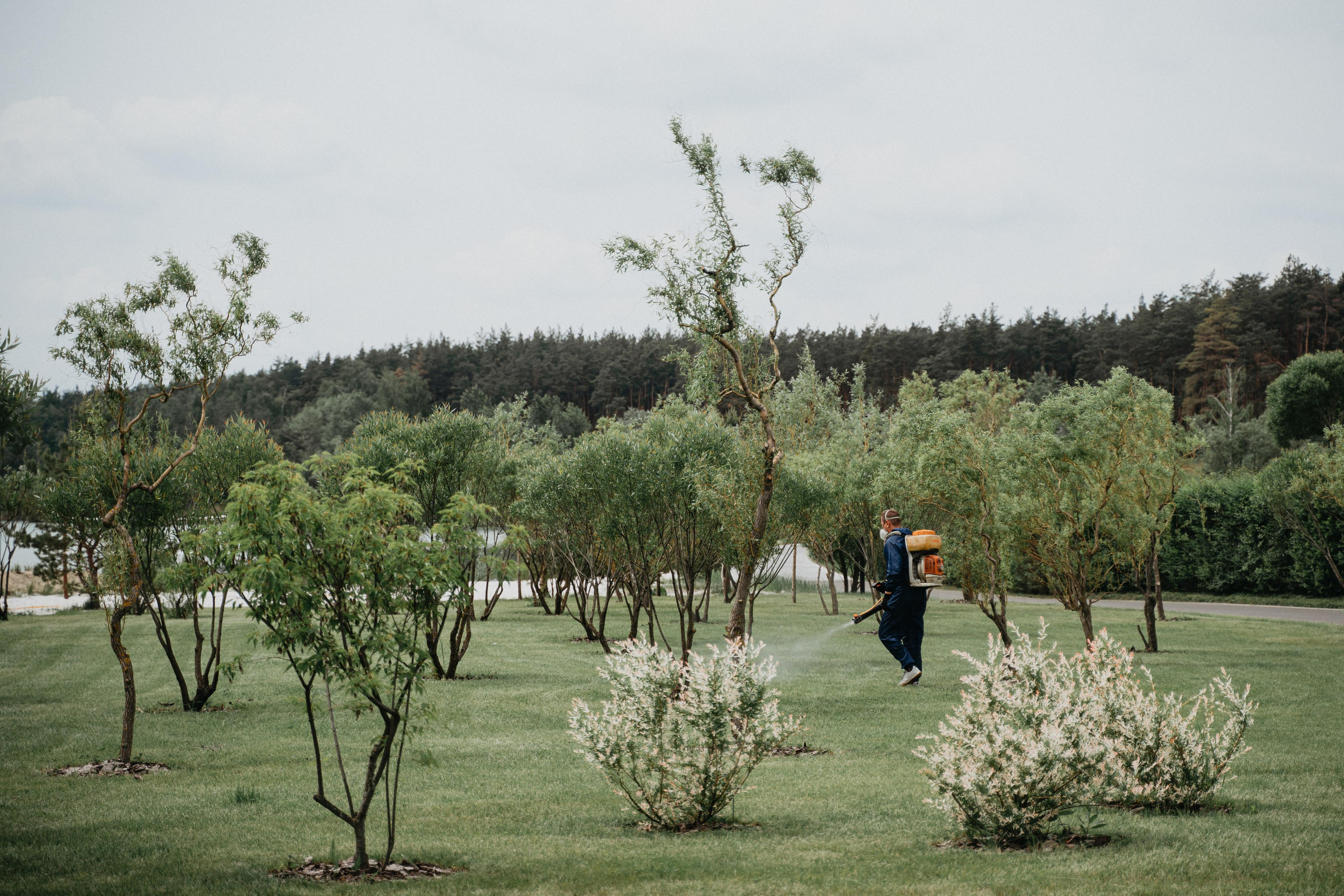 Юрий и Мария. Свадебный фотограф в Белгороде Антон Каменев