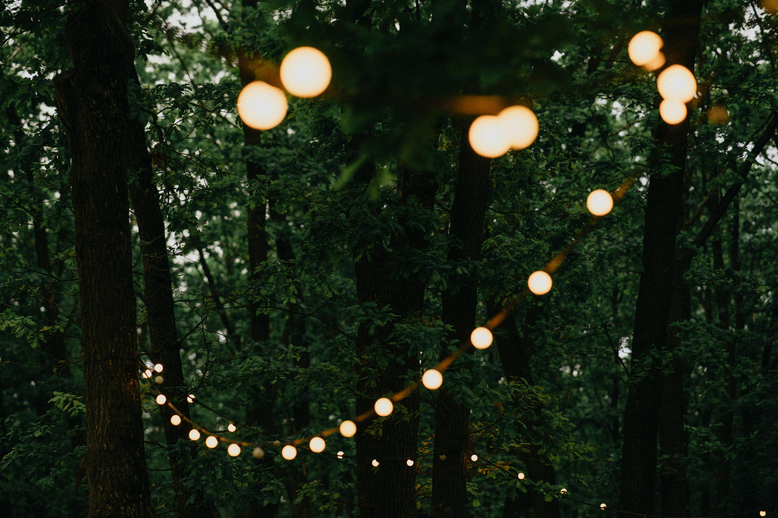 Юрий и Мария. Свадебный фотограф в Белгороде Антон Каменев