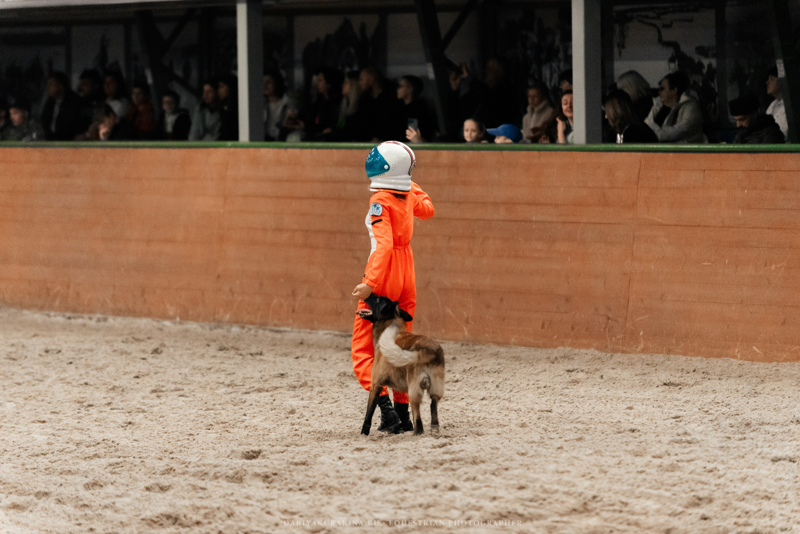 Конное представление «Дыхание Звёзд». Конный фотограф Куракина Дарья • Фотосессии с лошадьми