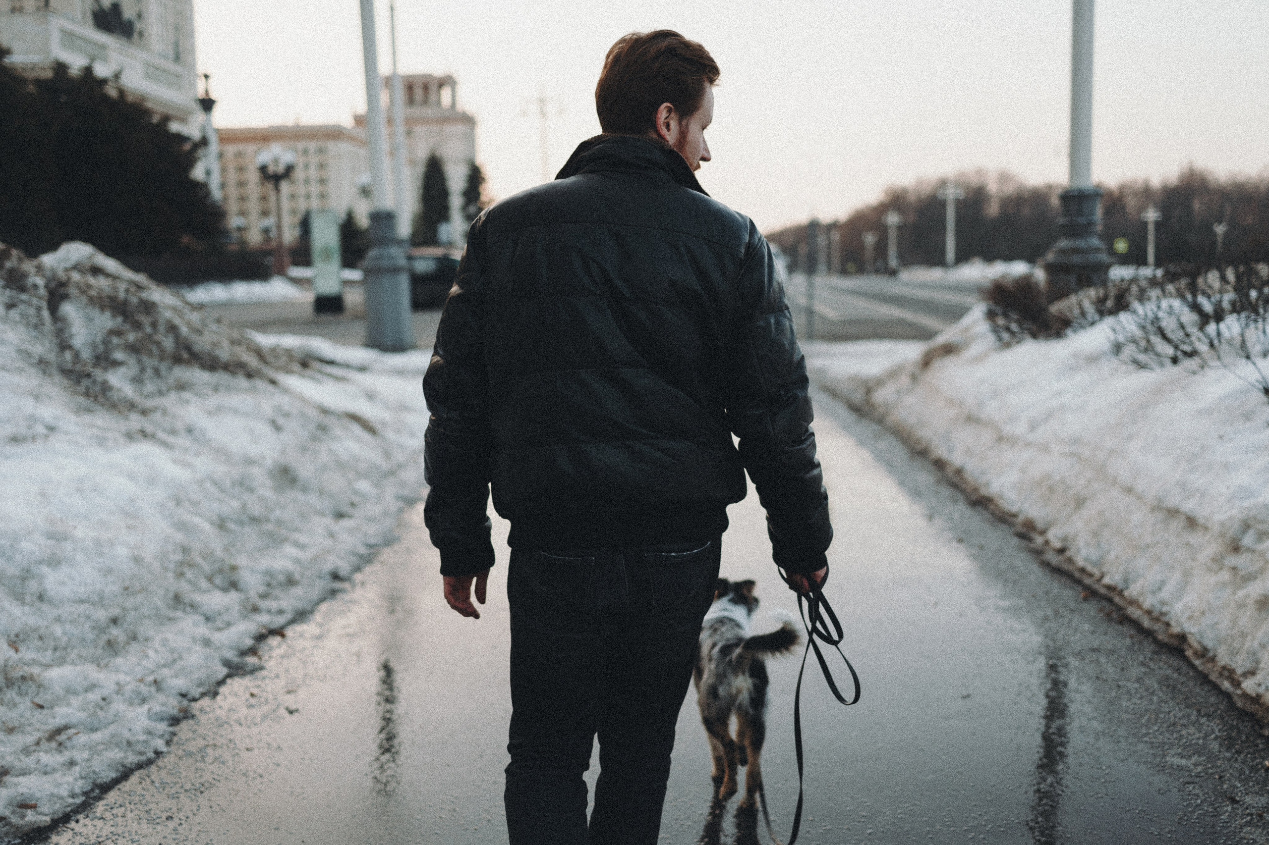 Балу и Илья. Фотограф анималист Анастасия Пикей