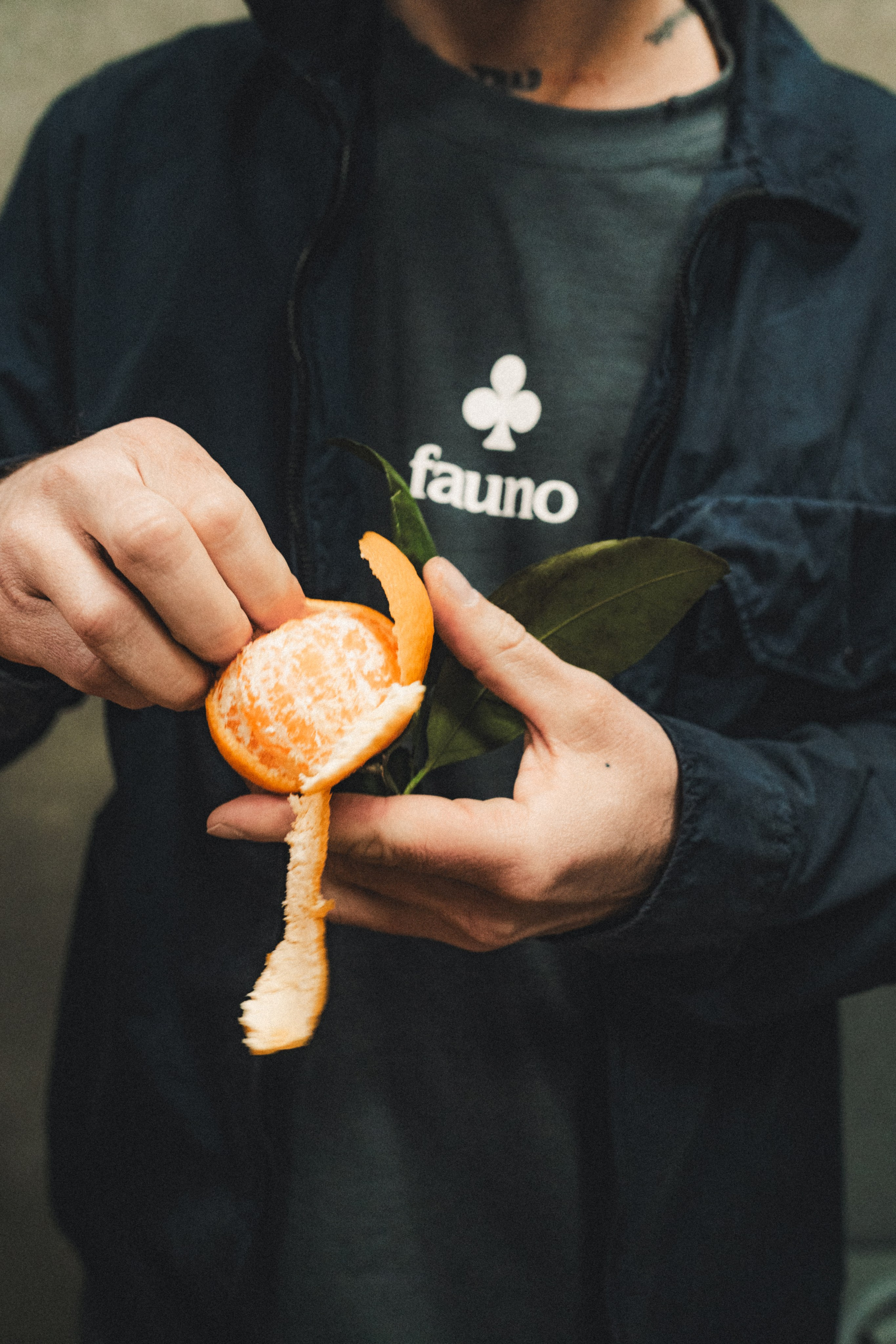 Fauno. Фотограф Илья К. в Москве