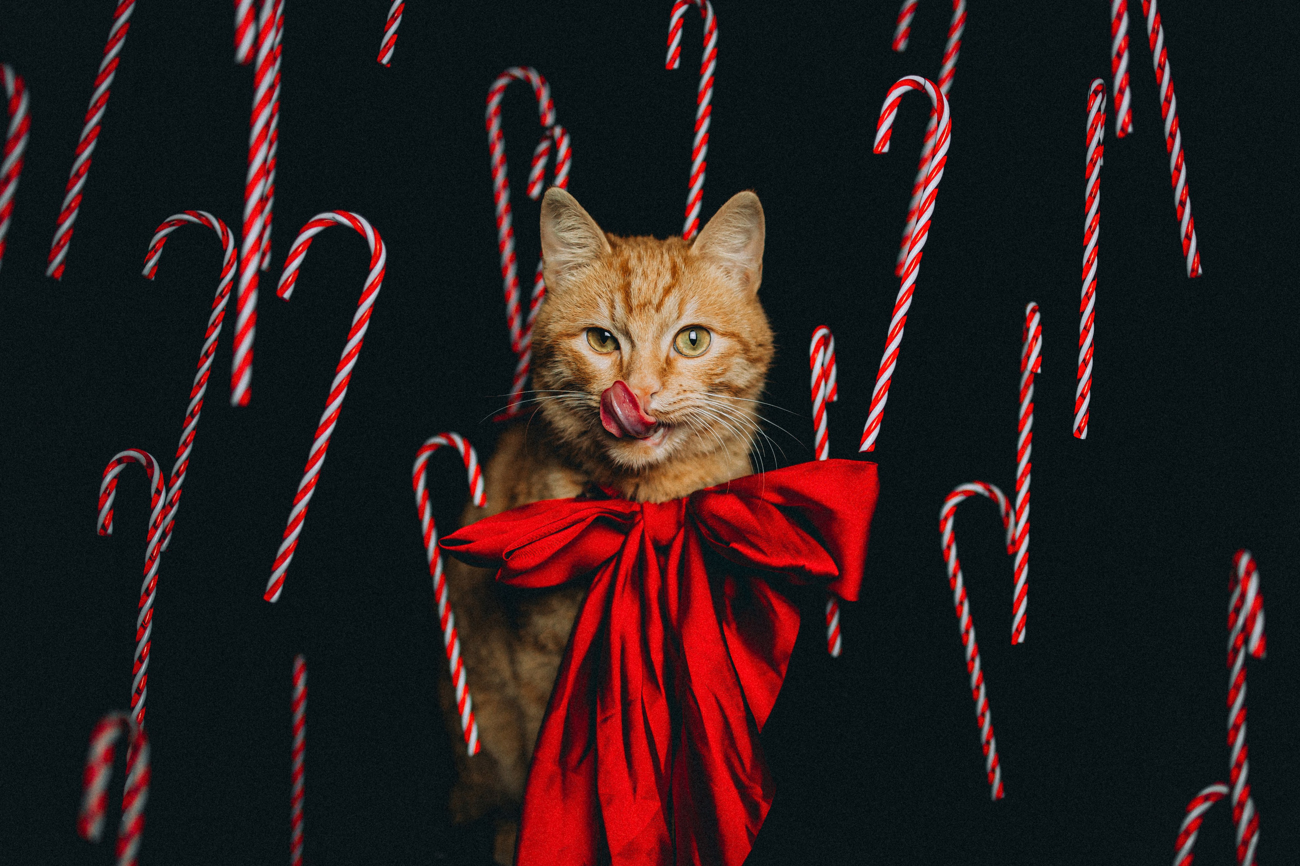 Джек, Бет и Кову