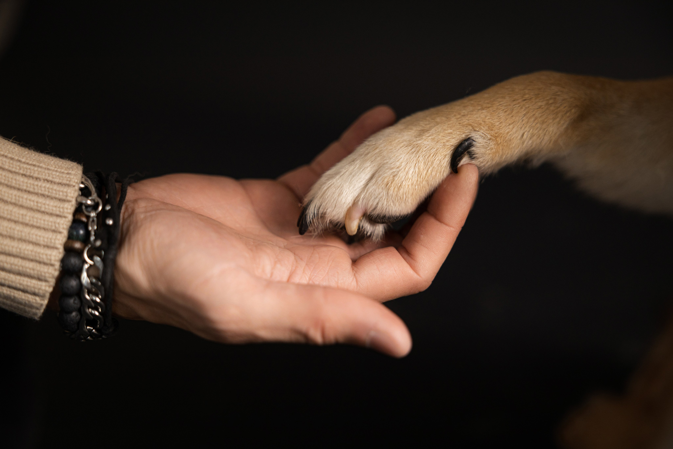 Мужская фотосессия. Портретный и репортажный фотограф из Нижнего Новгорода Александра Лабутина