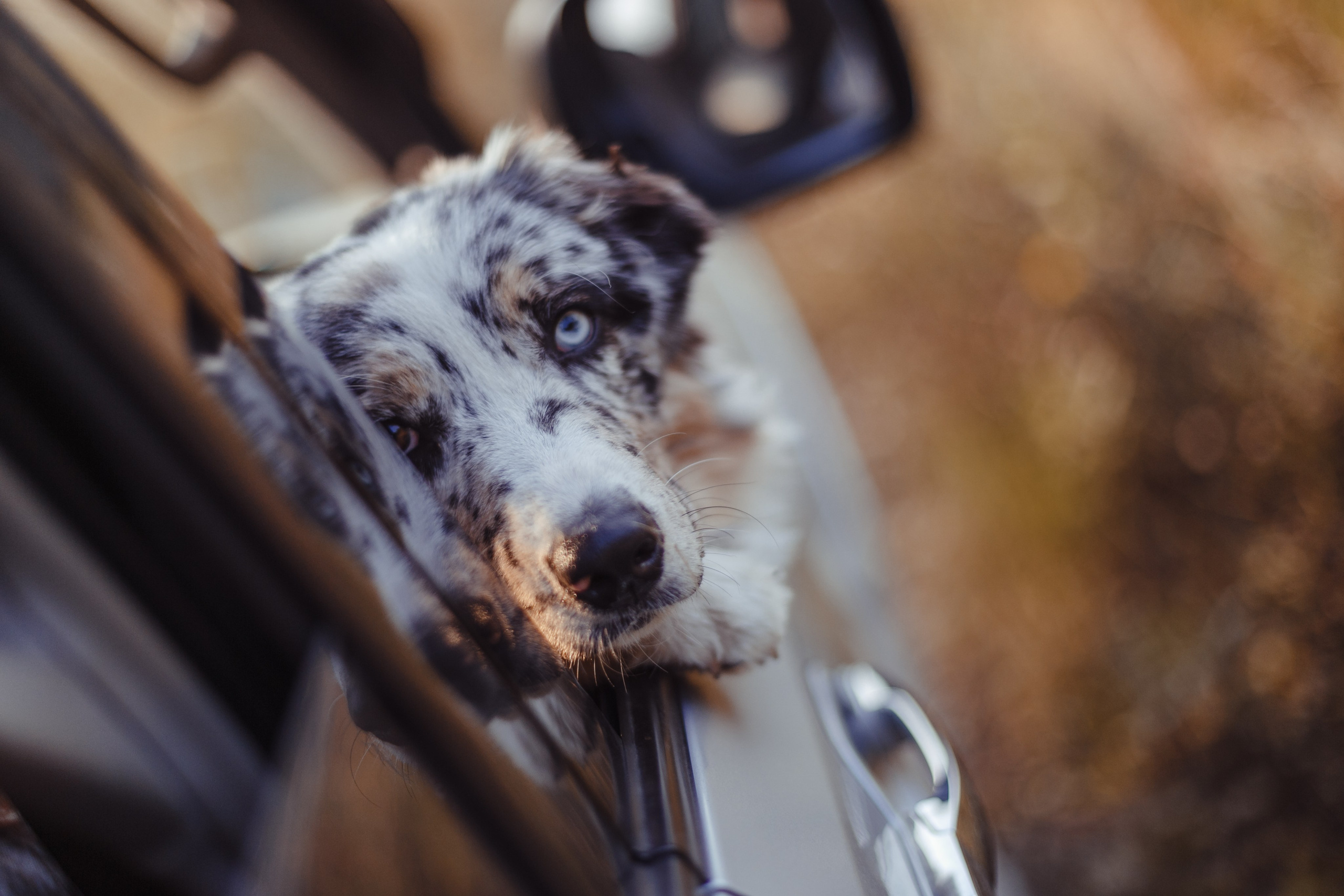 Mike. PHOTOGRAPHER romanoff-egor