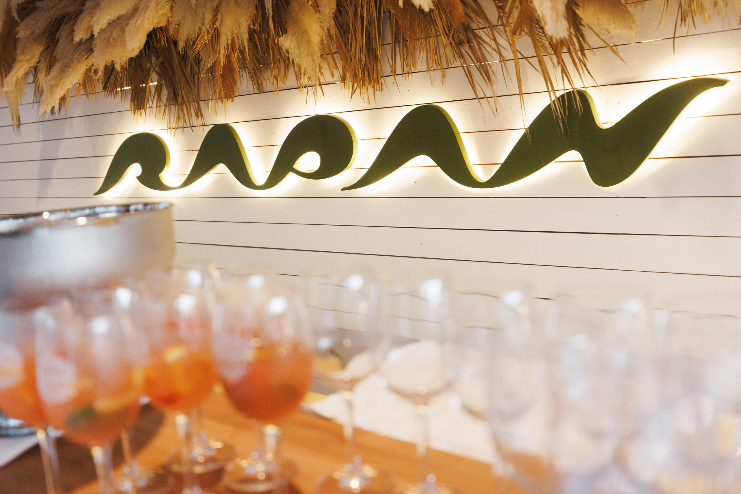 31.05.2025 TROPICAL DISCO BIRTHDAY PARTY. ProVizArt