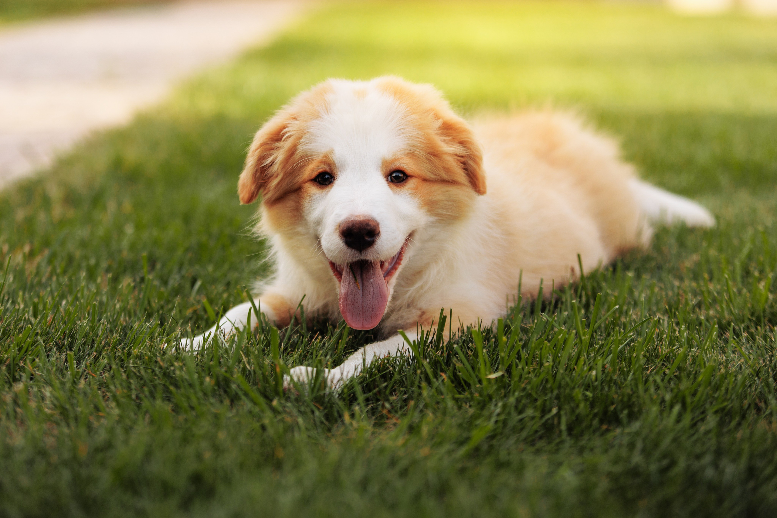 СОлнечные. О нас