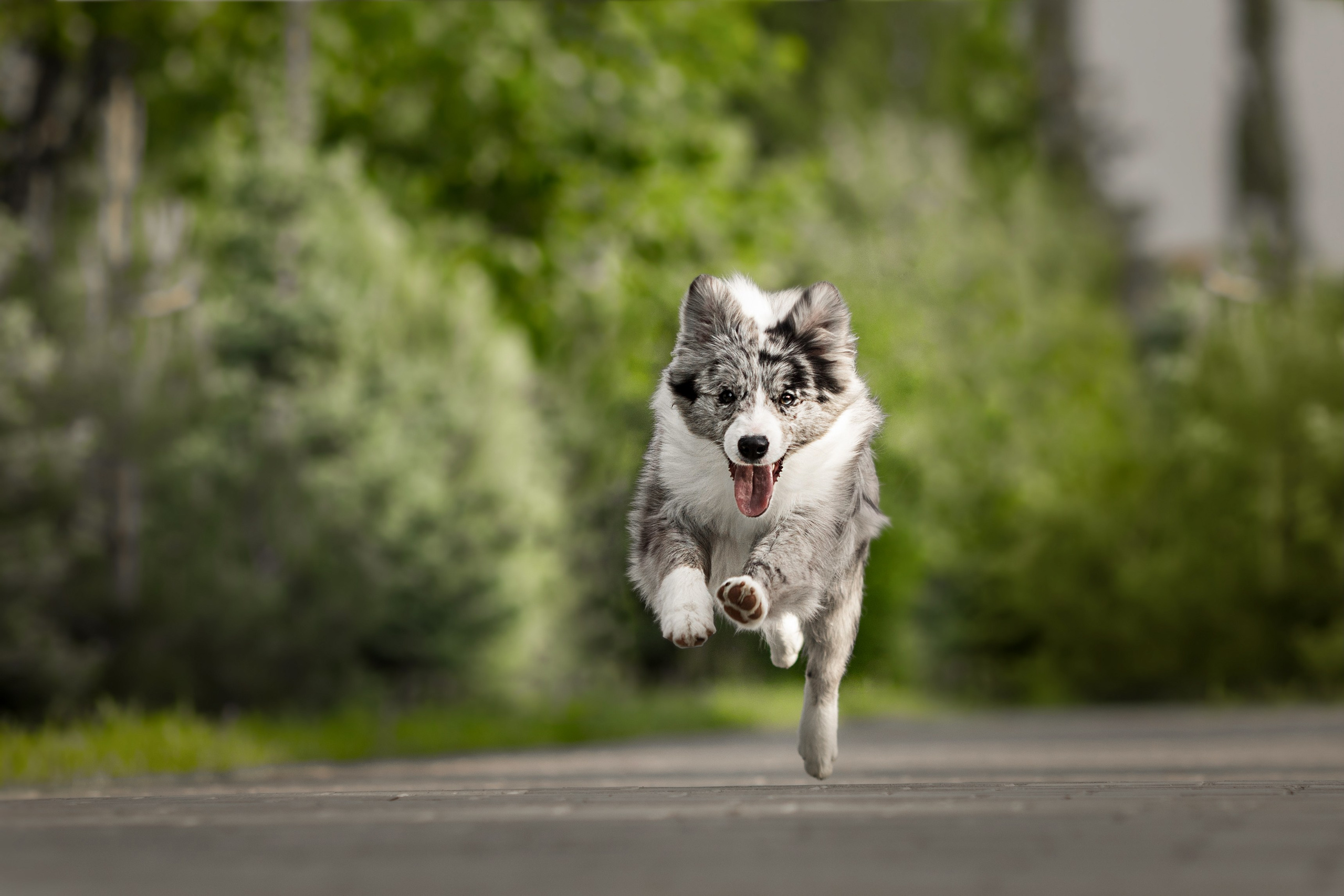 Роскошь в ростошах. О нас