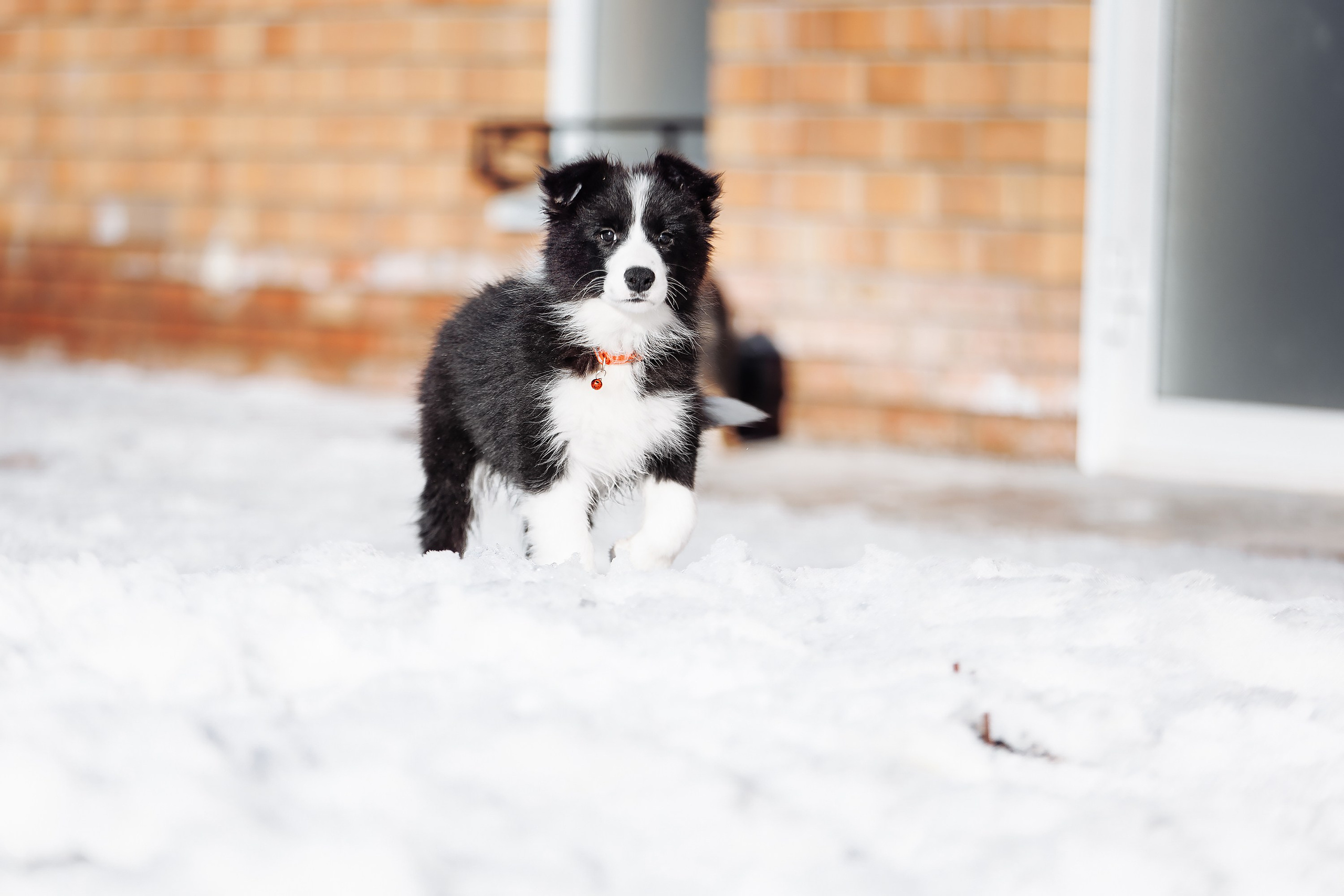 Пока таяло. О нас