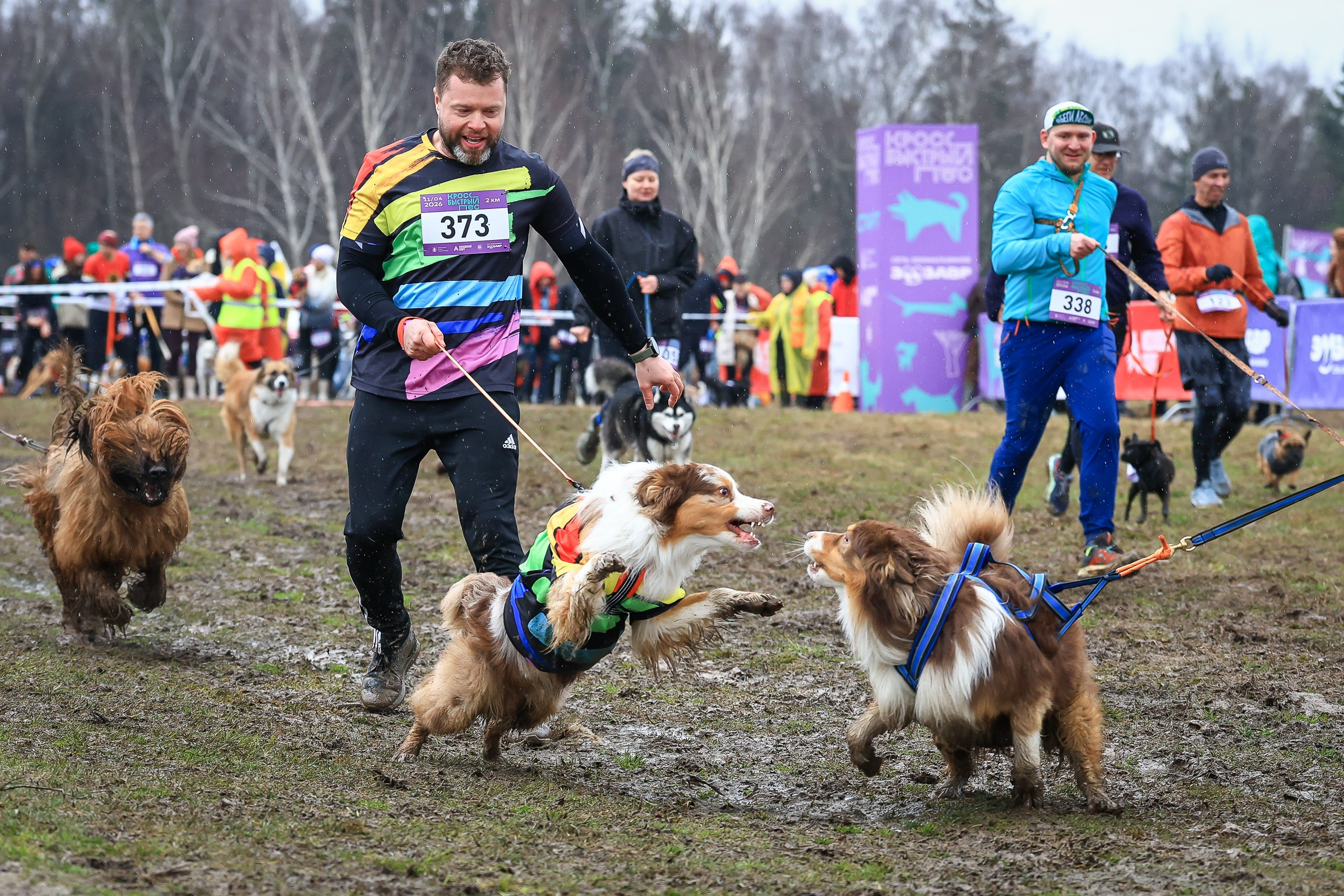Быстрый Пёс!. Свадебная фотосъёмка в Москве, Туле