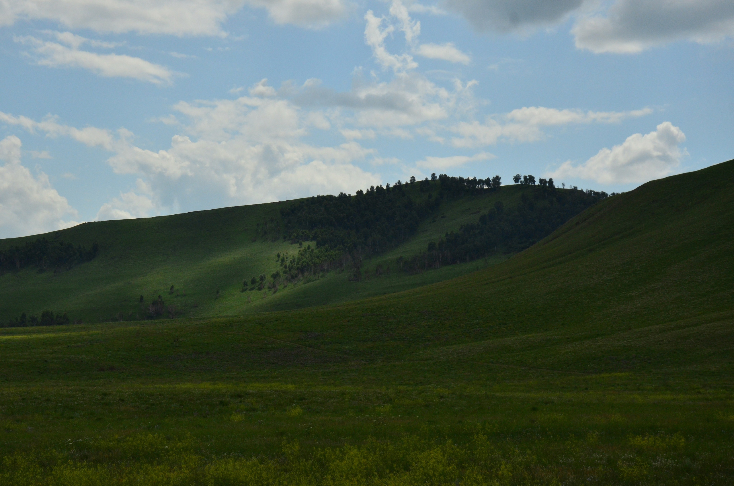 Дары природы. Фотограф viktor viktor