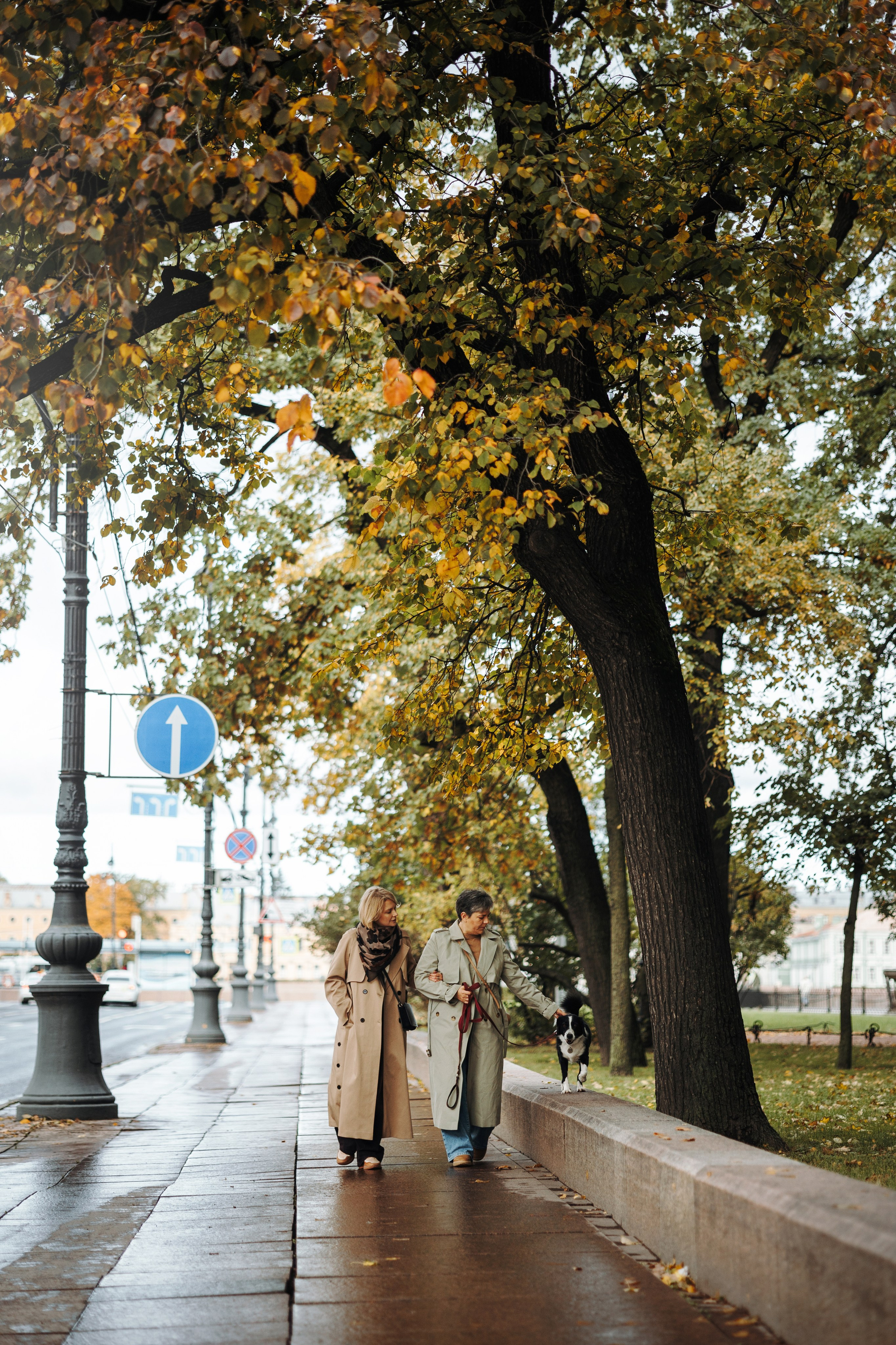 Мишель и ее семья. Фотограф — Анималист | Санкт-Петербург