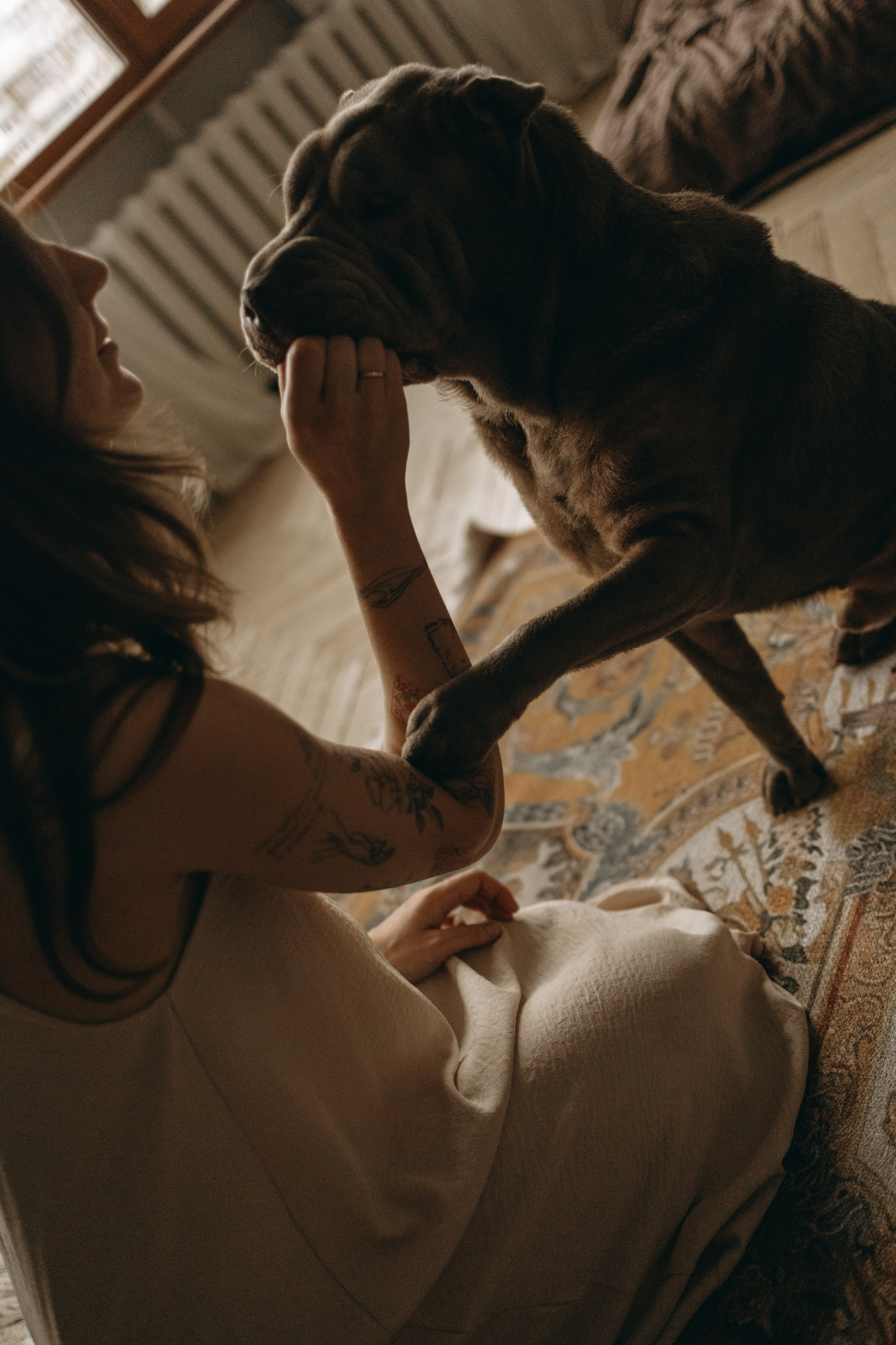 Ульяна и Вагнер. Фотограф — Анималист | Санкт-Петербург