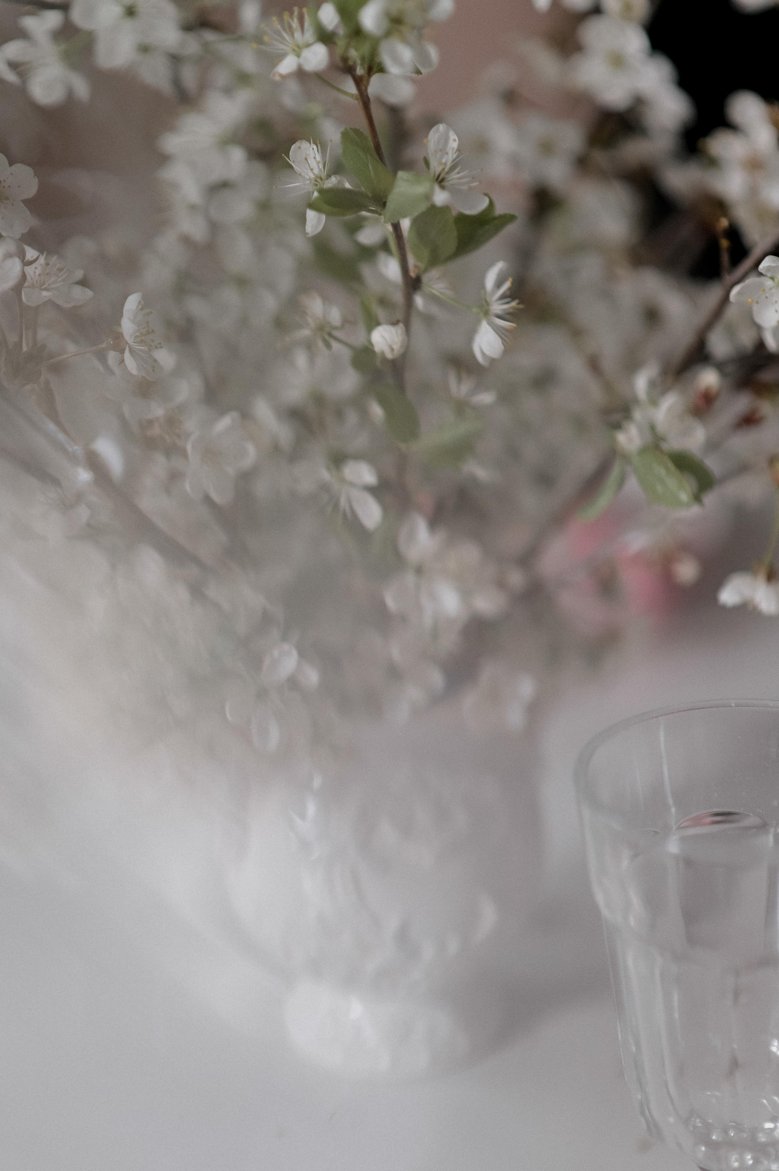 Кирилл и Анна. Свадебный фотограф Евгения Черепанова