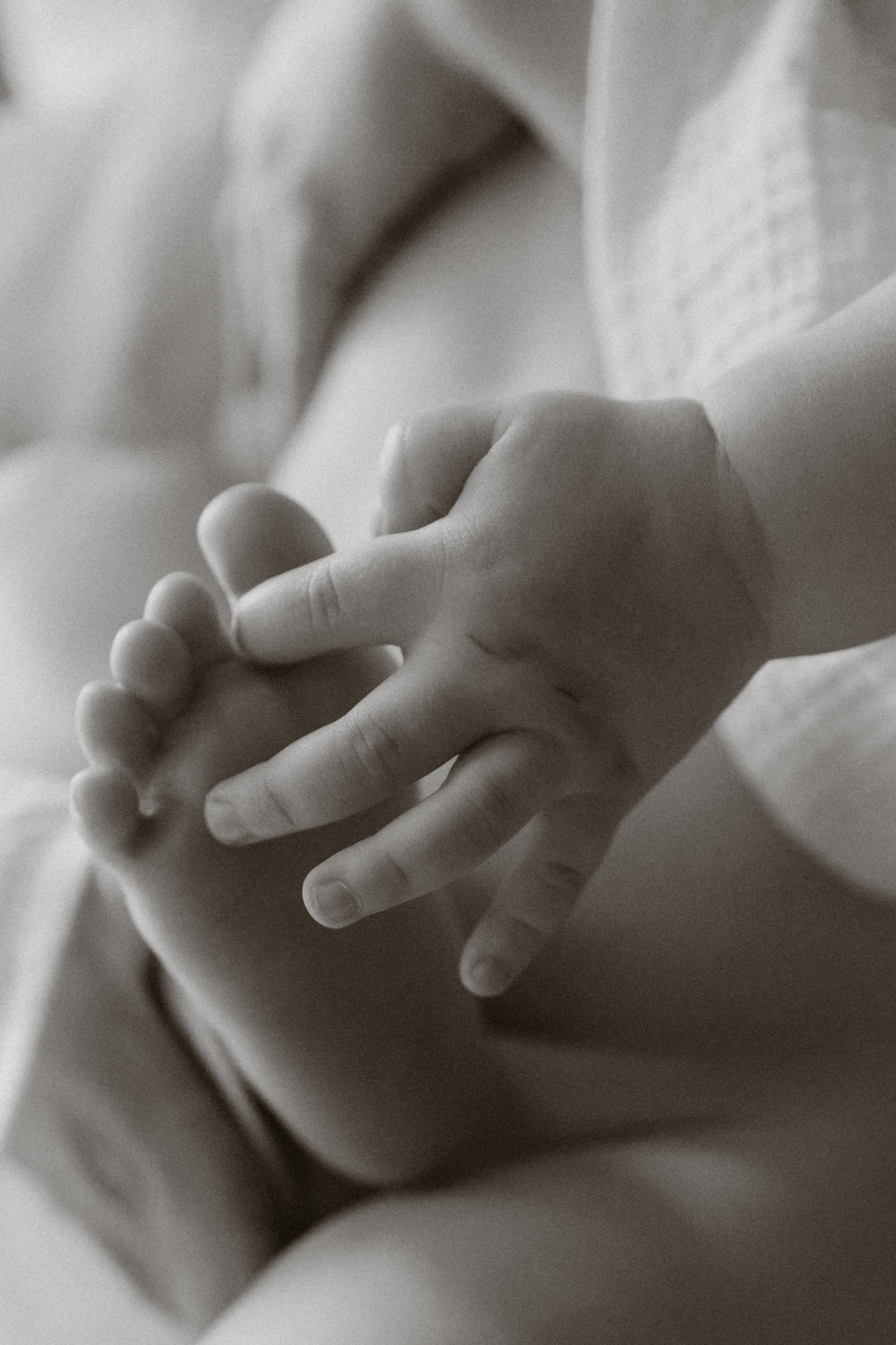 Екатерина и Матвей. Семейный фотограф в Москве Валерия Карпова