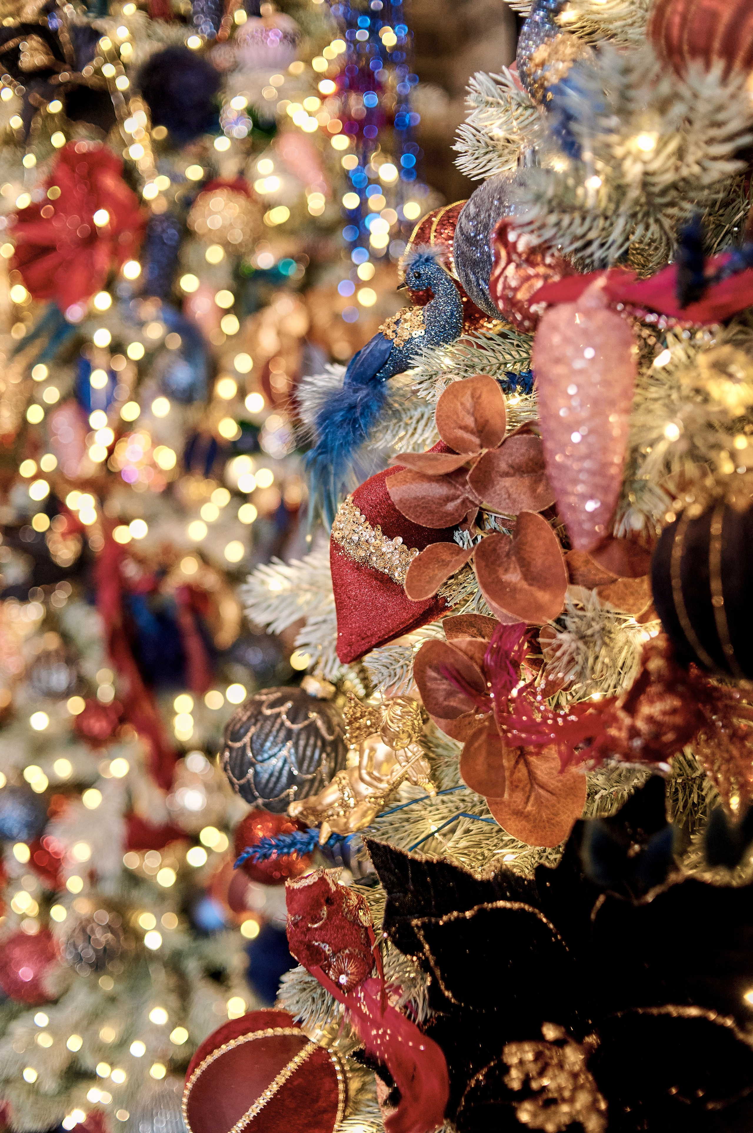 Новогодняя история. Семейный и детский фотограф в г. Ногинске Ангелина Хасанова