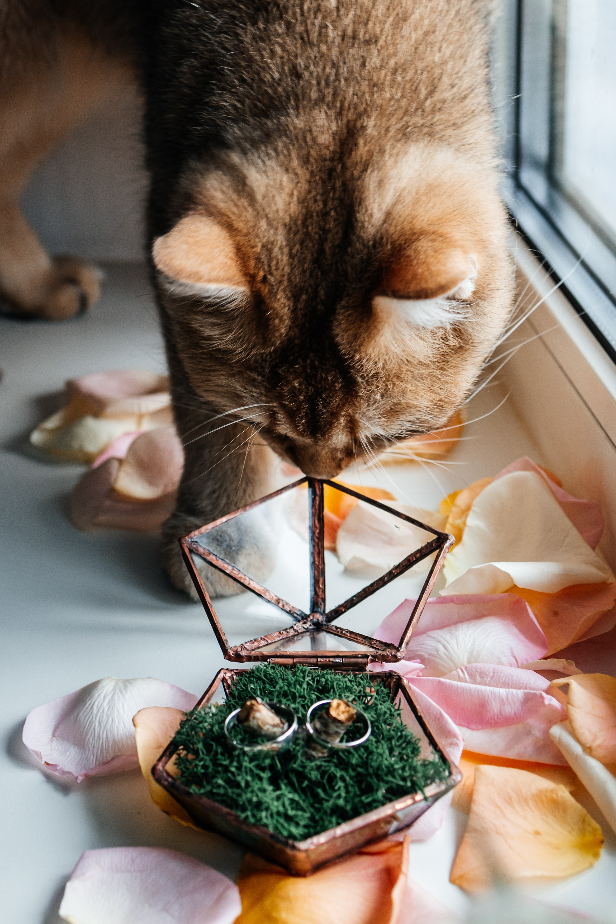 Свадьба Лизы и Ярослава. Семейный фотограф, детские, семейные, лав стори съемки в Москве