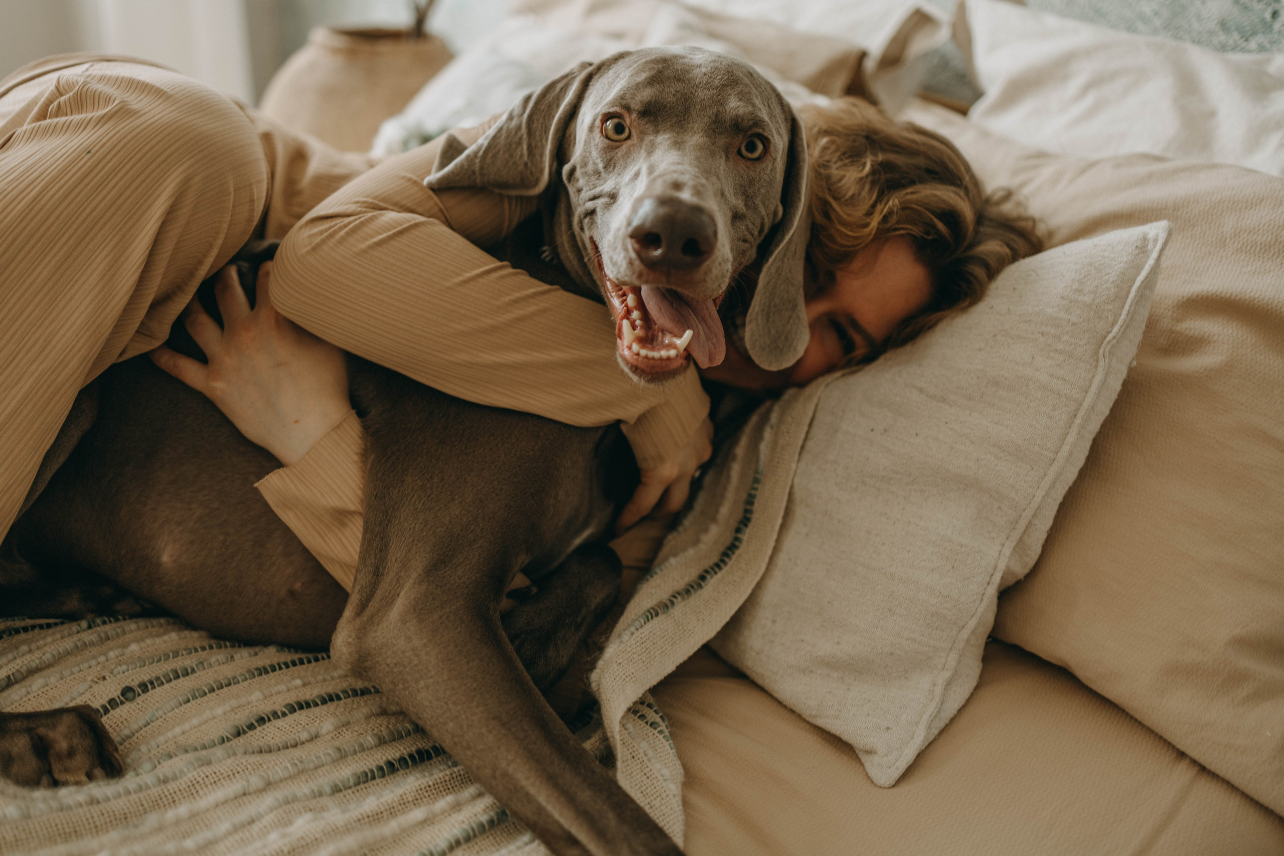 Фотосессия в студии с собакой. Фотограф-анималист в Екатеринбурге | Кристина
