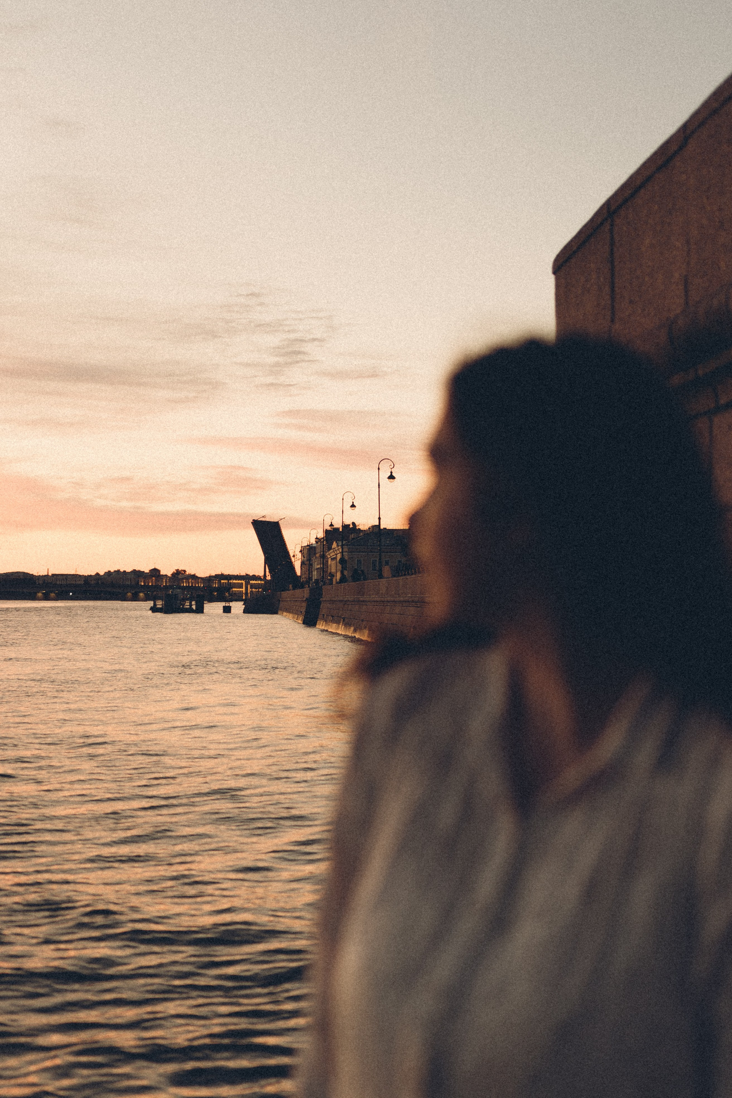 РАССВЕТ С РАЗВОДНЫМИ МОСТАМИ. Профессиональный фотограф, Санкт-Петербург — Виктория Богомолова