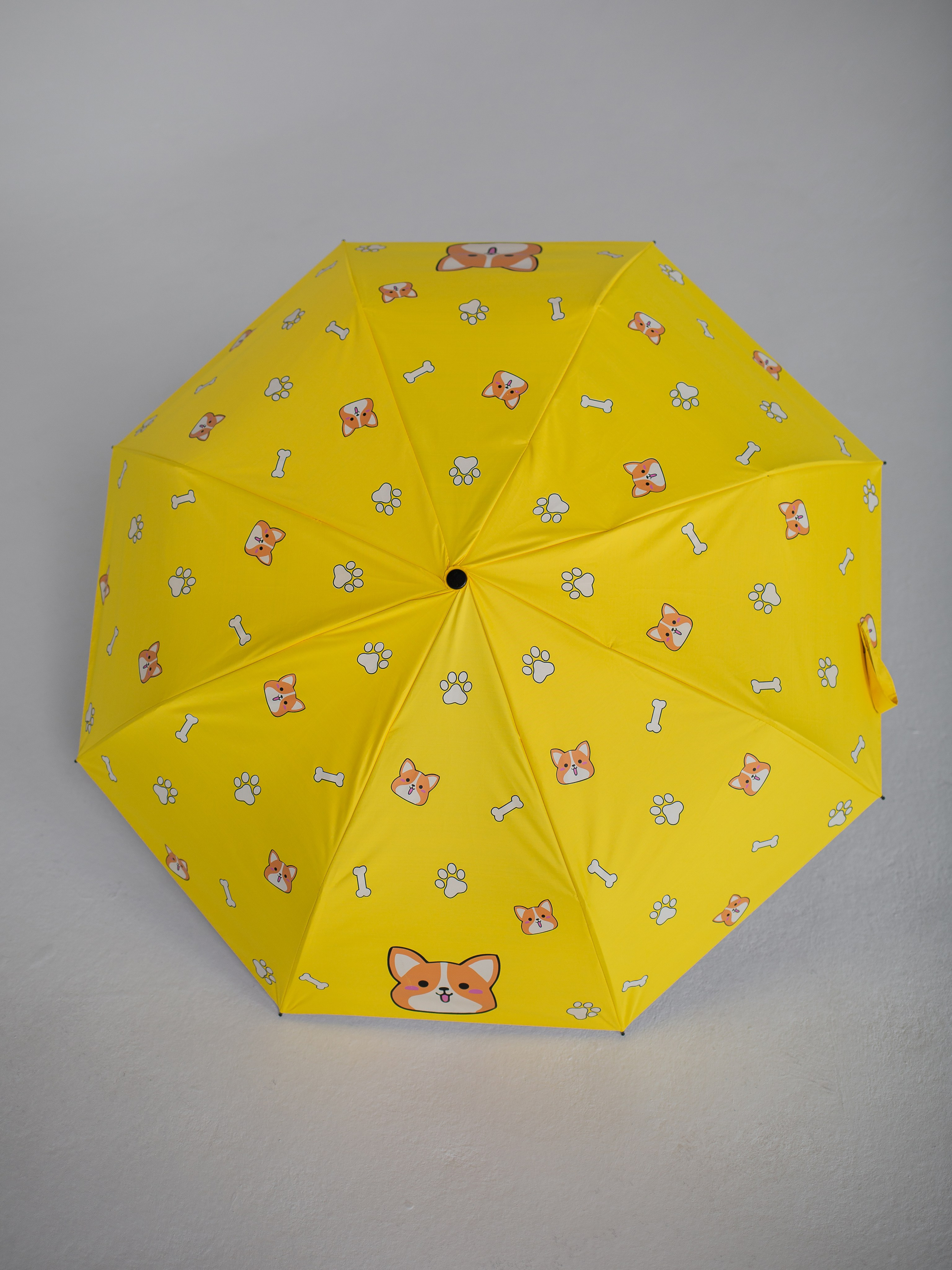 Зонты. Семейный фотограф Николаева Ольга