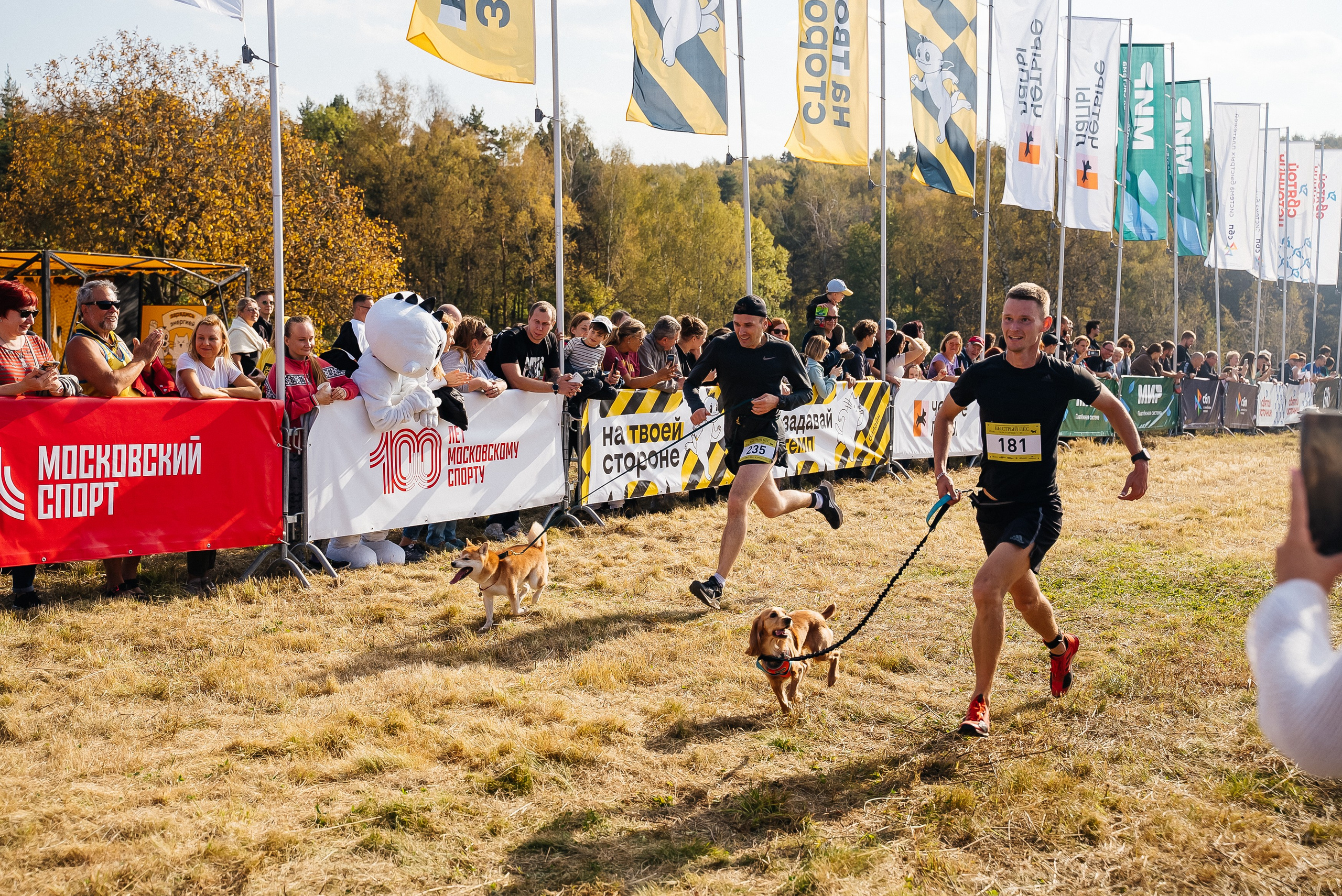 Билайн. Павел Краснов — Свадебный и репортажный фотограф в Москве