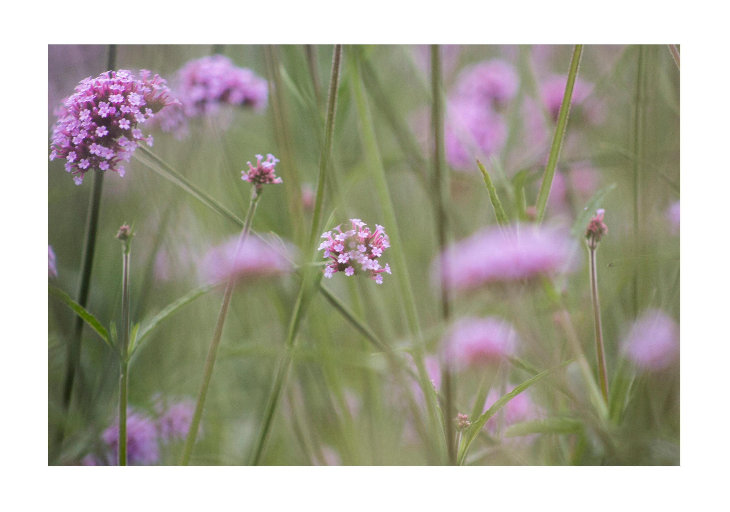 Мои первые работы. Фотограф из Москвы — DASHA NOVA | Авторская фотография в разных жанрах