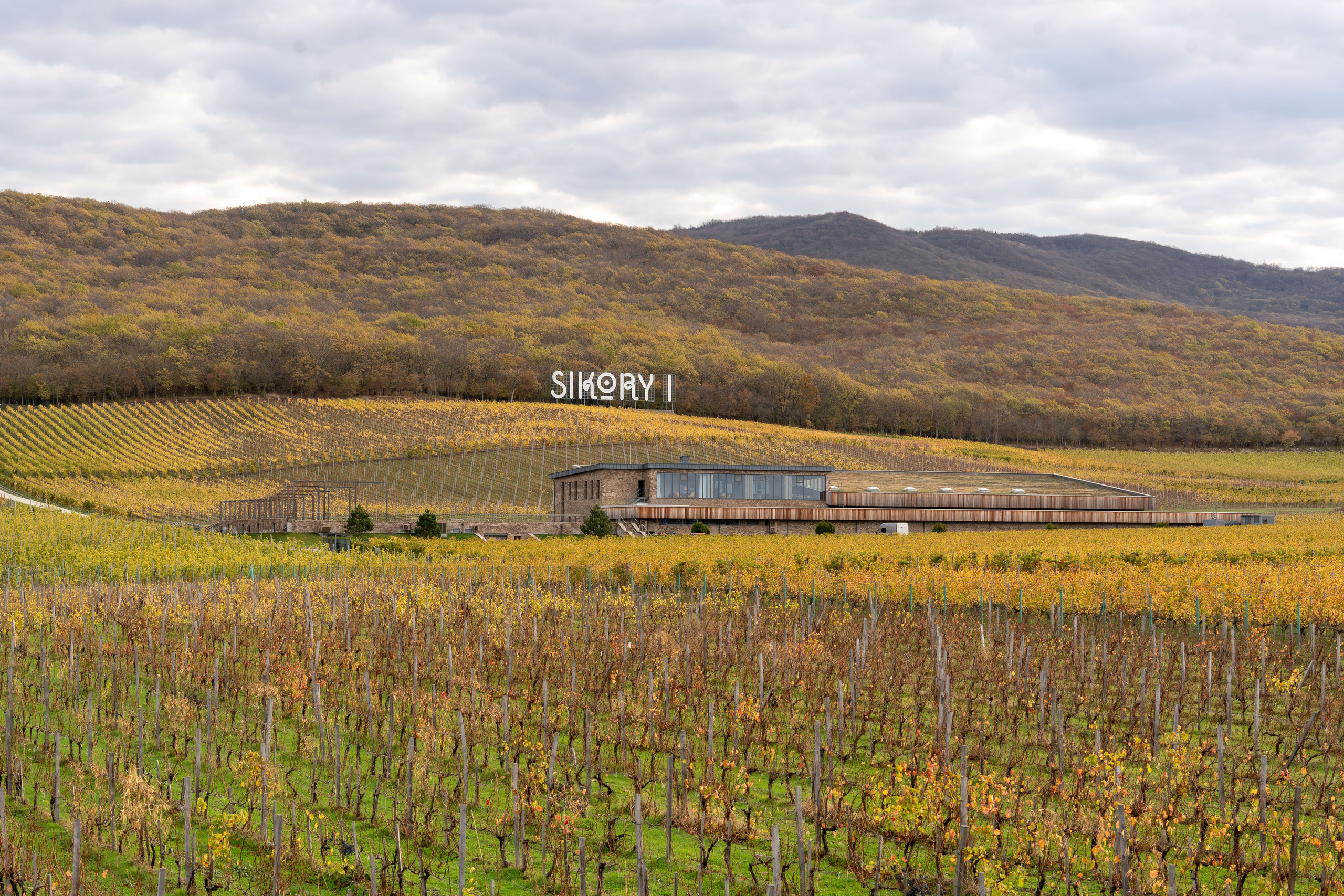 Литературная мастерская с Ольгой Шутовой в «Винотеррии». Репортажный фотограф в Красной Поляне и Сочи Павлюченко Екатерина