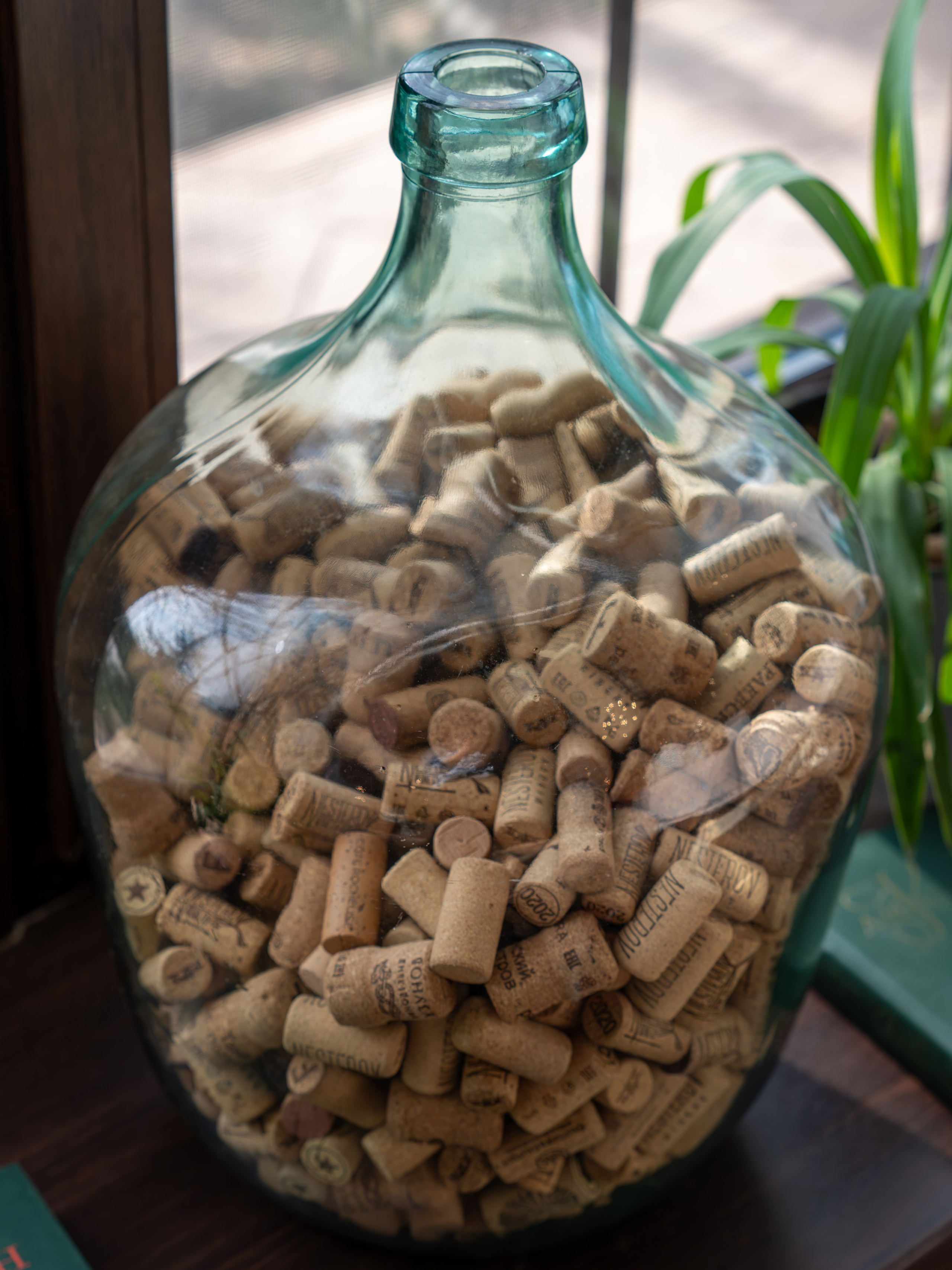 Литературная мастерская с Ольгой Шутовой в «Винотеррии». Репортажный фотограф в Красной Поляне и Сочи Павлюченко Екатерина