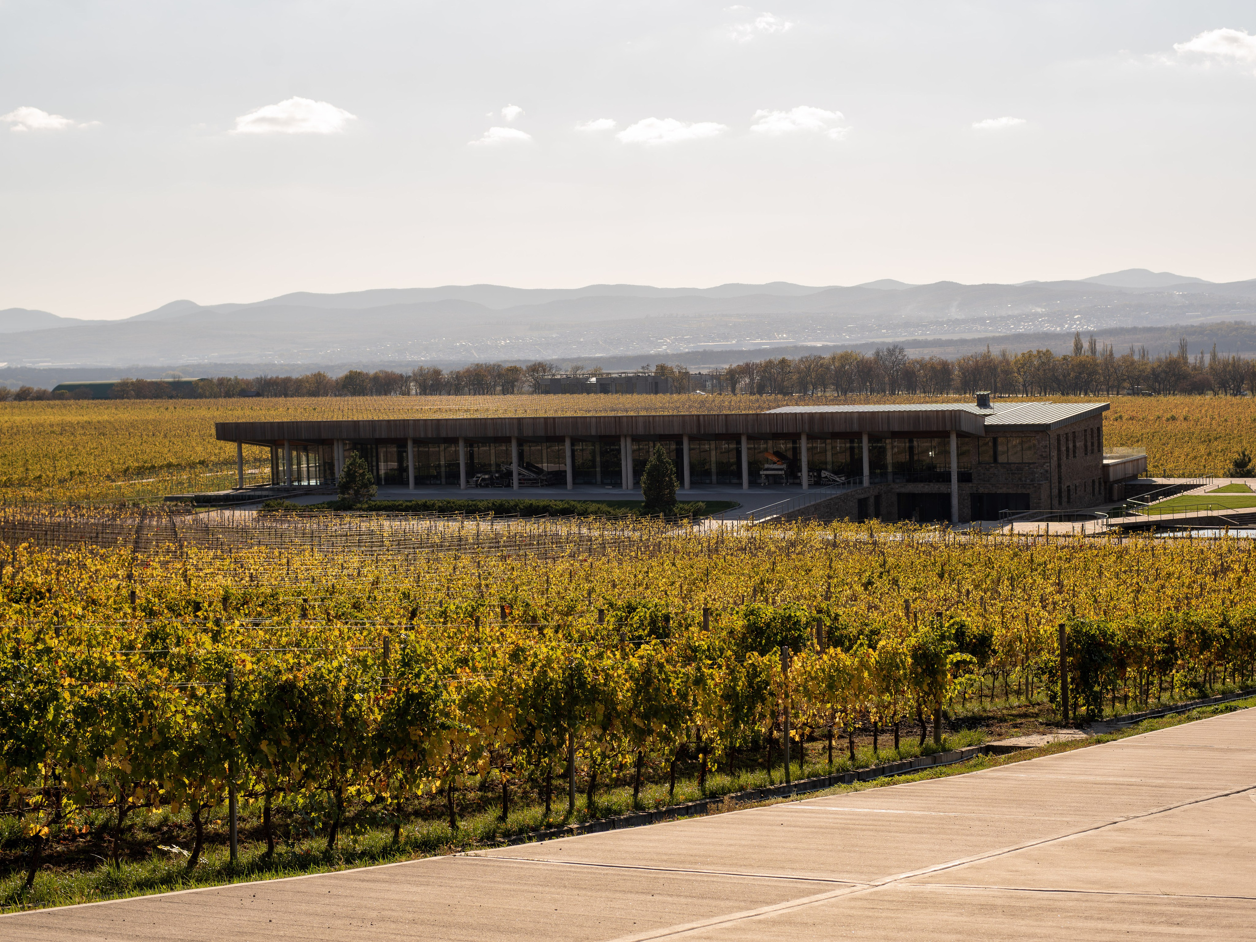 Литературная мастерская с Ольгой Шутовой в «Винотеррии». Репортажный фотограф в Красной Поляне и Сочи Павлюченко Екатерина