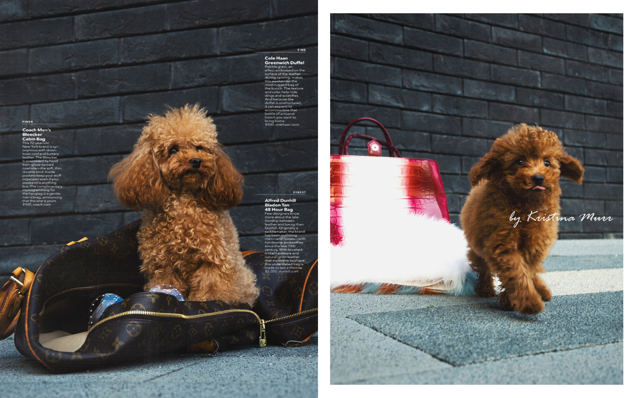 ФОТОСЕССИЯ ЩЕНКОВ. Будуарный фотограф Kris Murr|Москва|Съемки FASHION|BOUDOIR|NUDE