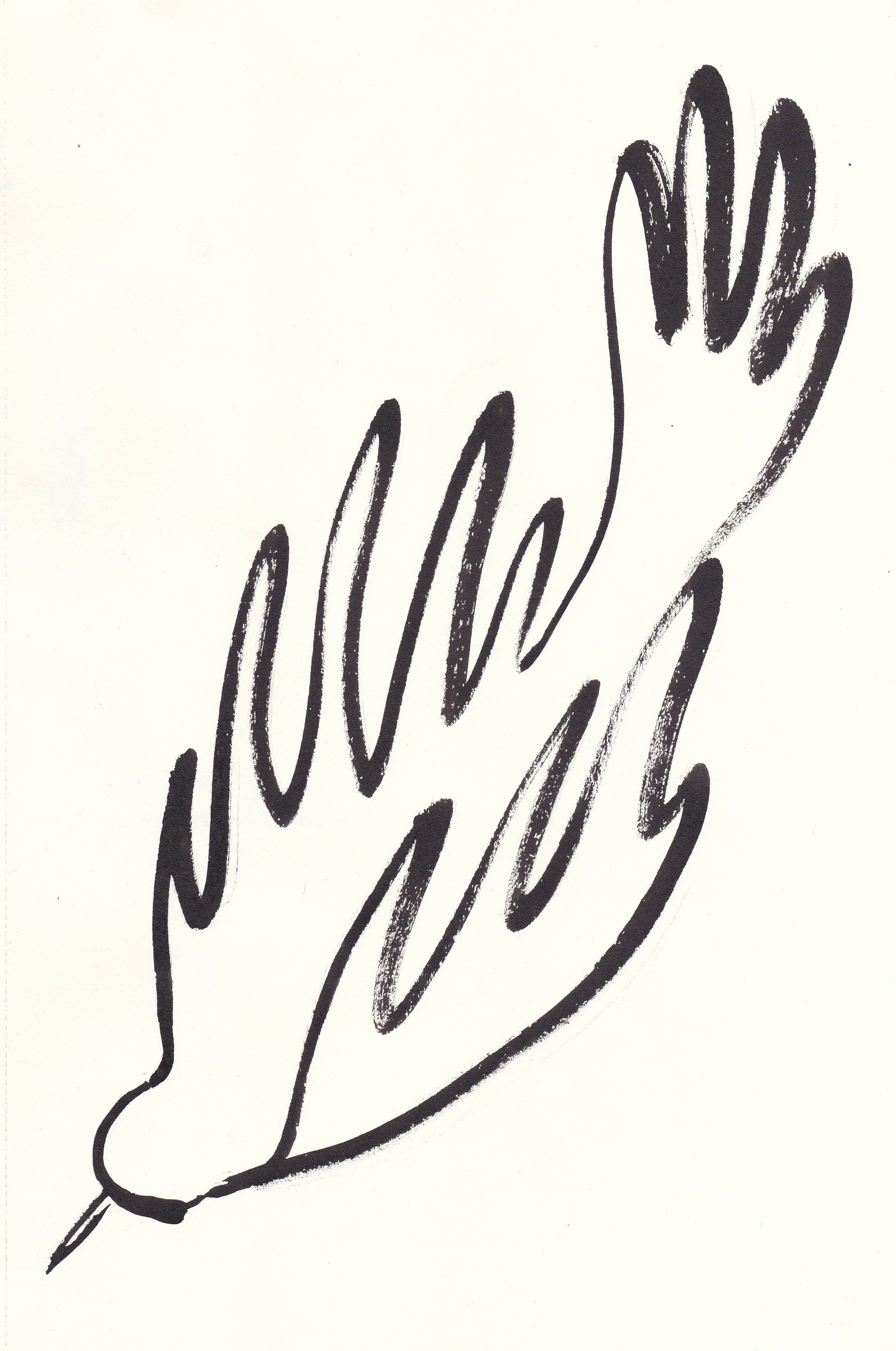 Ink Drawings. Portfolio Birdcrush