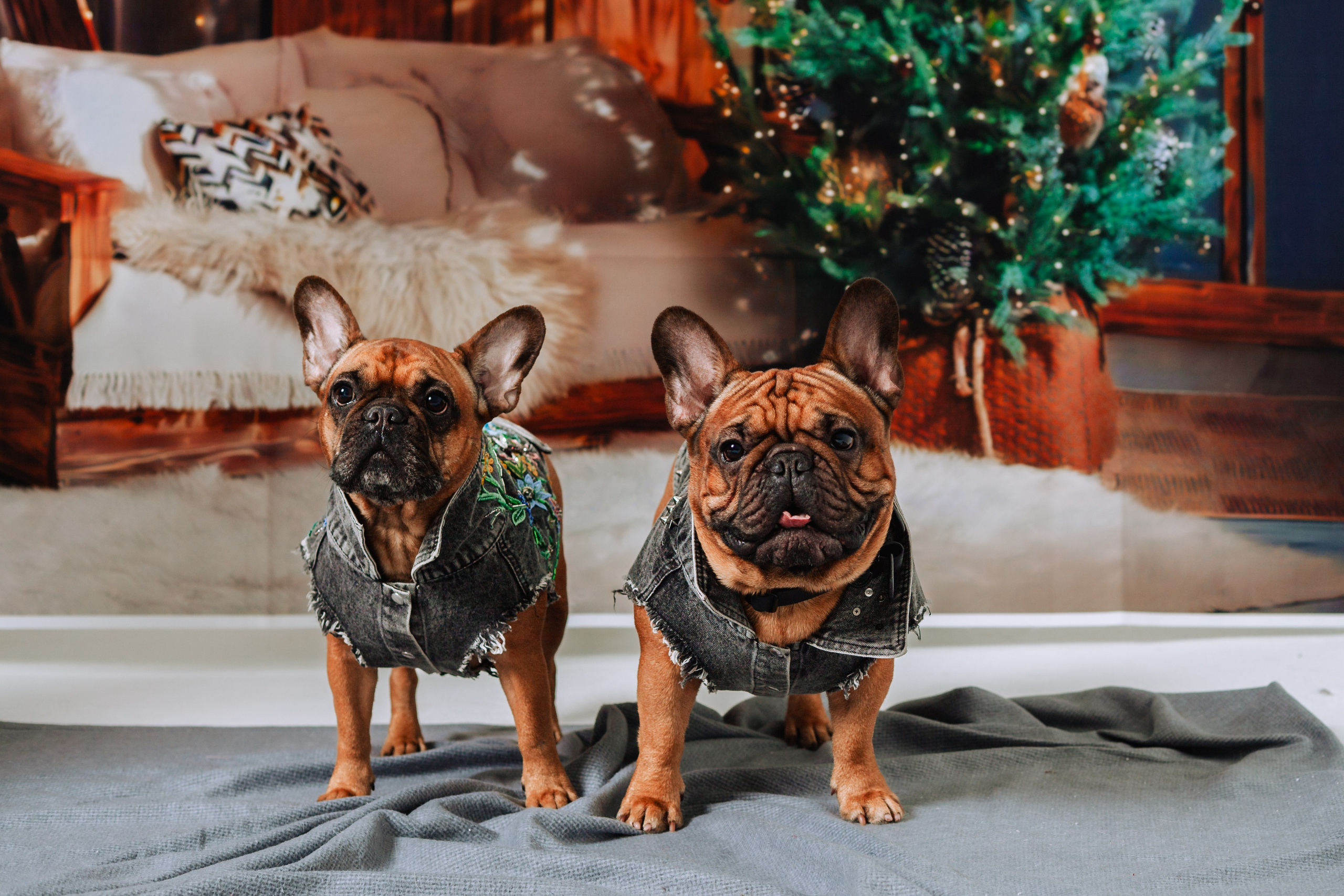 Бульвстреча 2025. Фотограф-анималист Татьяна Степанова